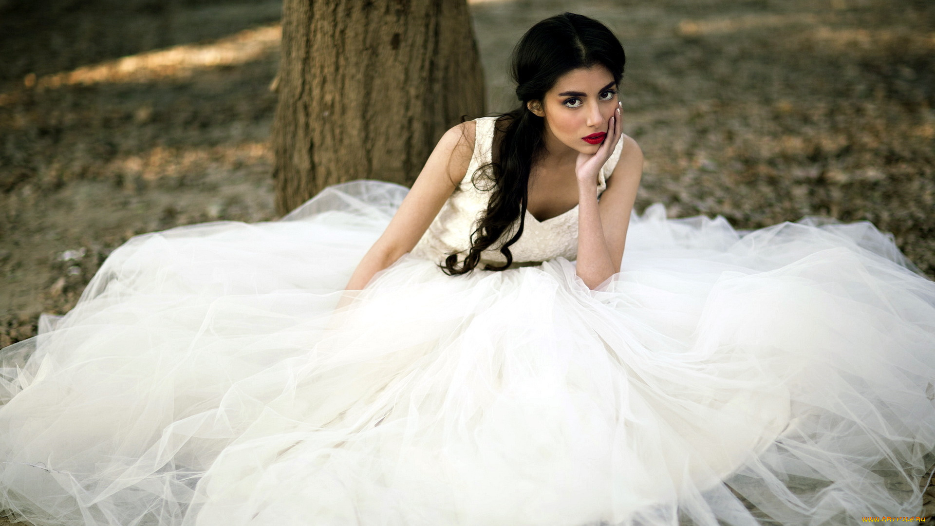 девушки, -, невесты, невеста, свадебное, платье