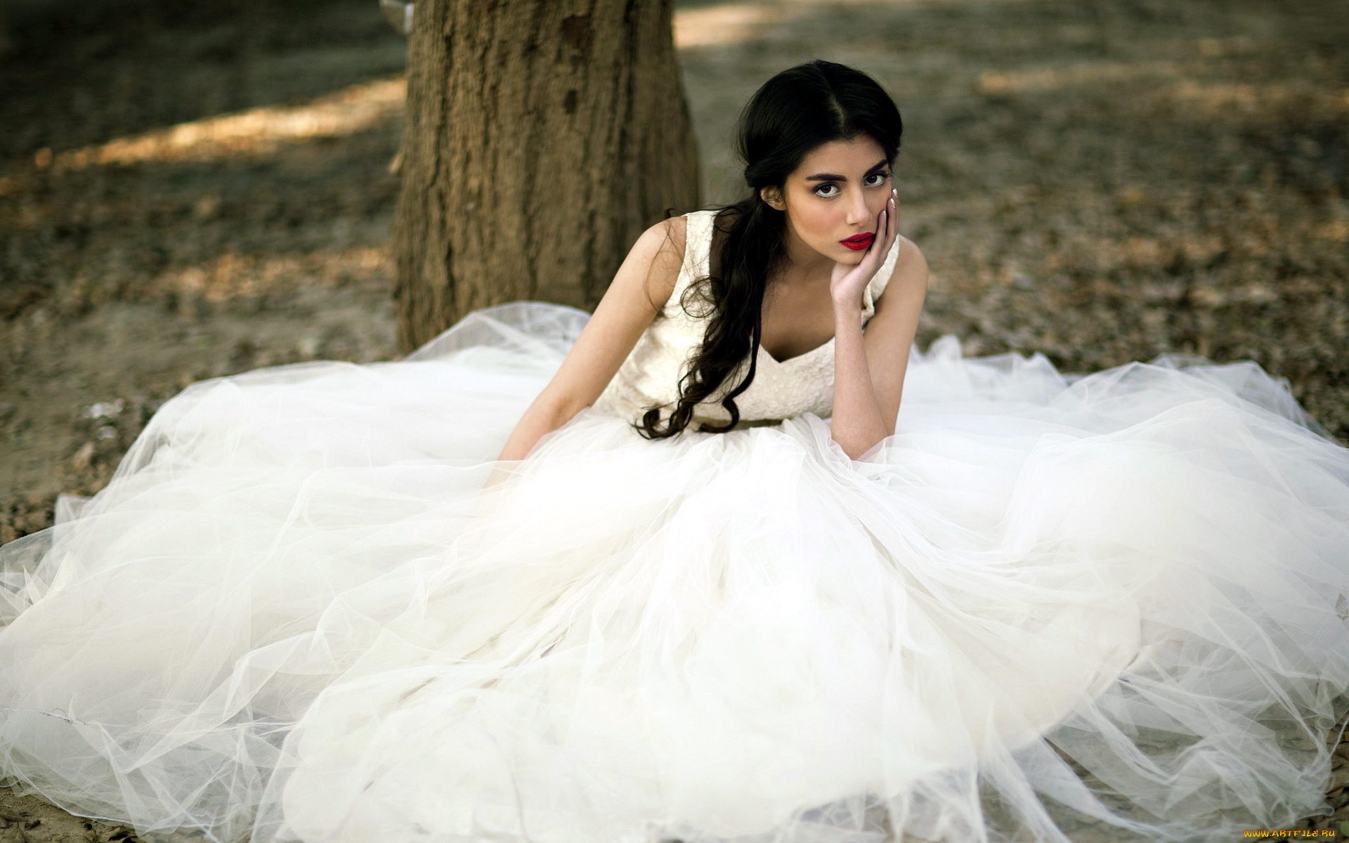 девушки, -, невесты, невеста, свадебное, платье