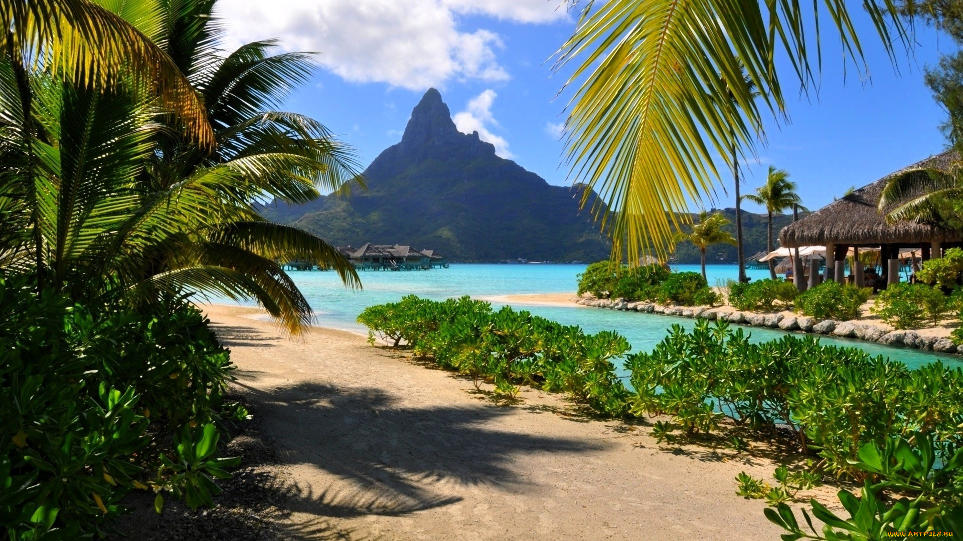 природа, тропики, пальмы, горы, бунгало, вода