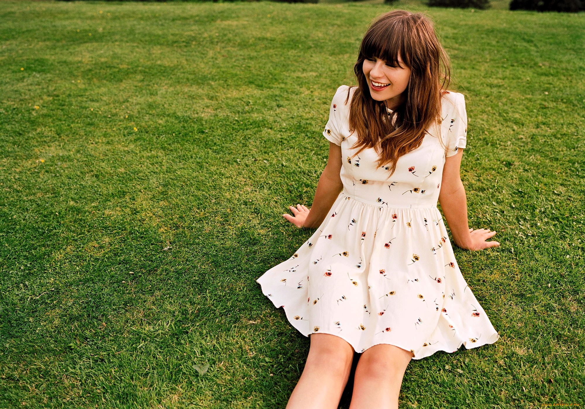 девушки, -, брюнетки, , шатенки, шатенка, платье, лужайка