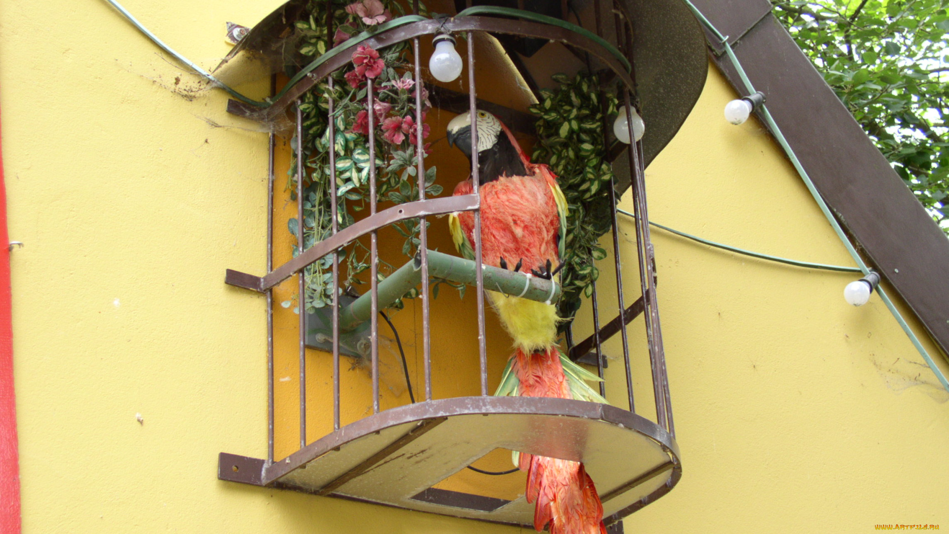 rasti, land, разное, игрушки