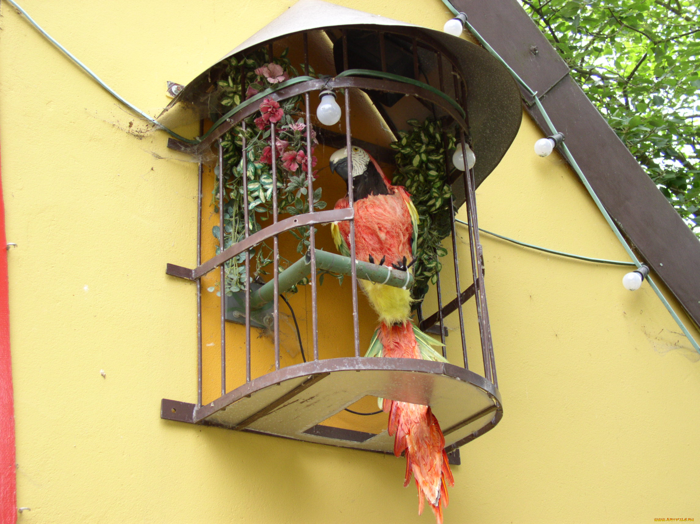 rasti, land, разное, игрушки