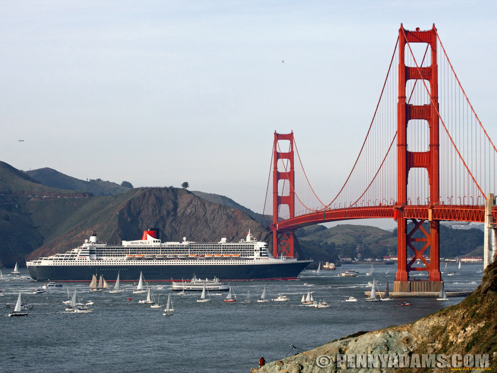 корабли, лайнеры