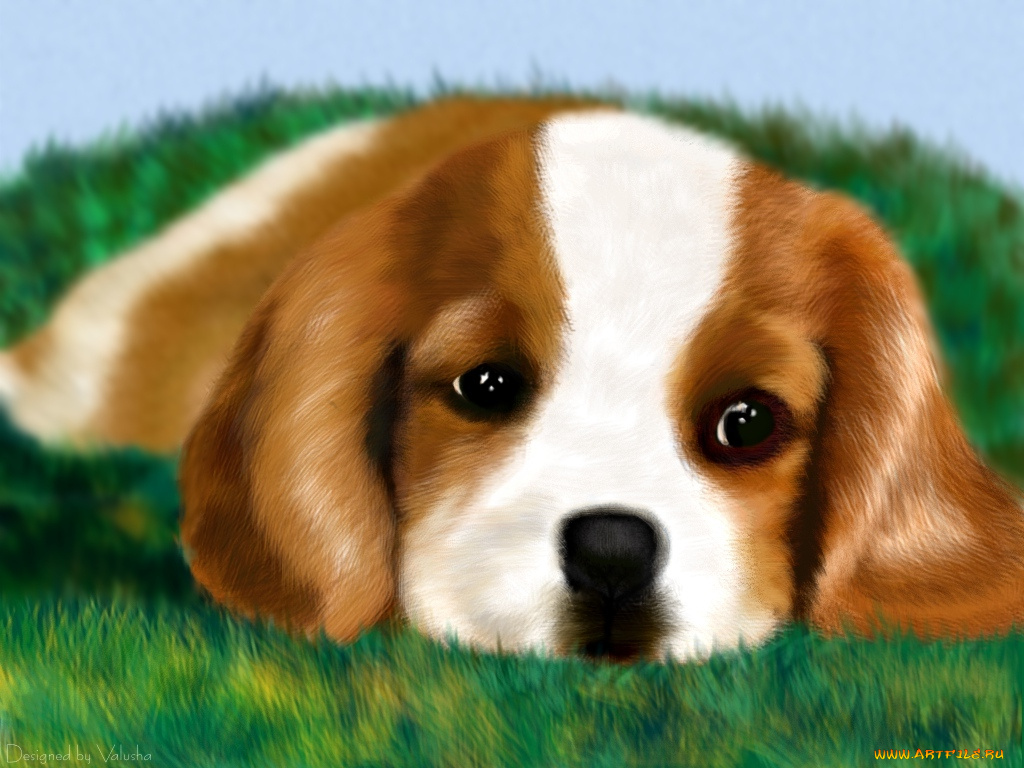 рисованные, животные