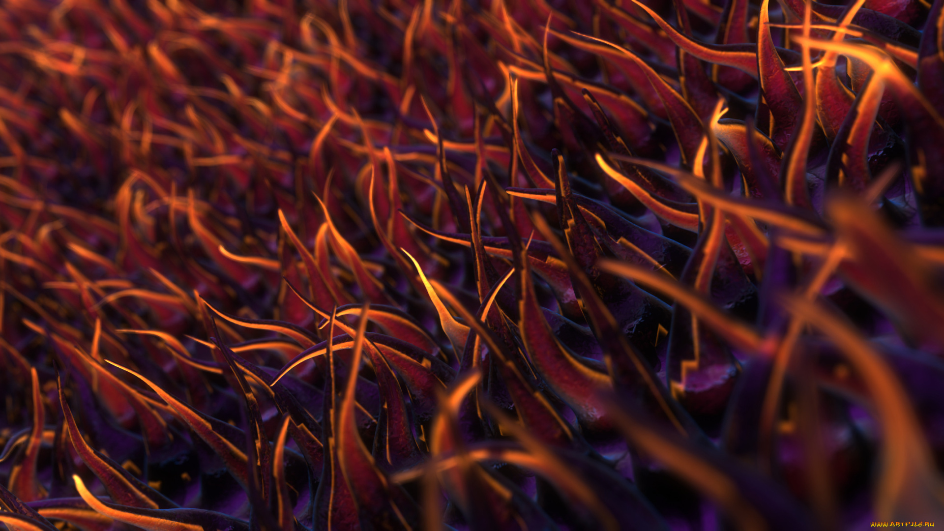 3д, графика, другое