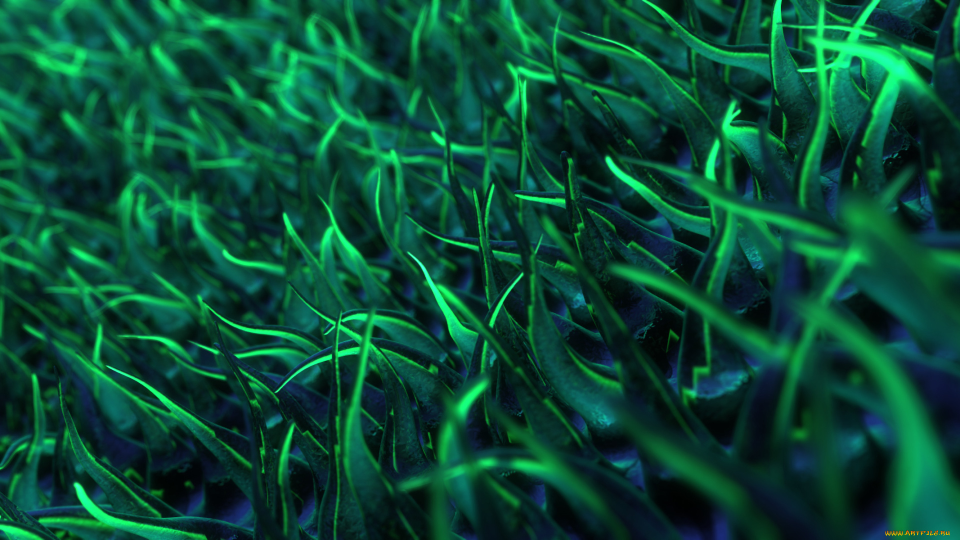 3д, графика, другое