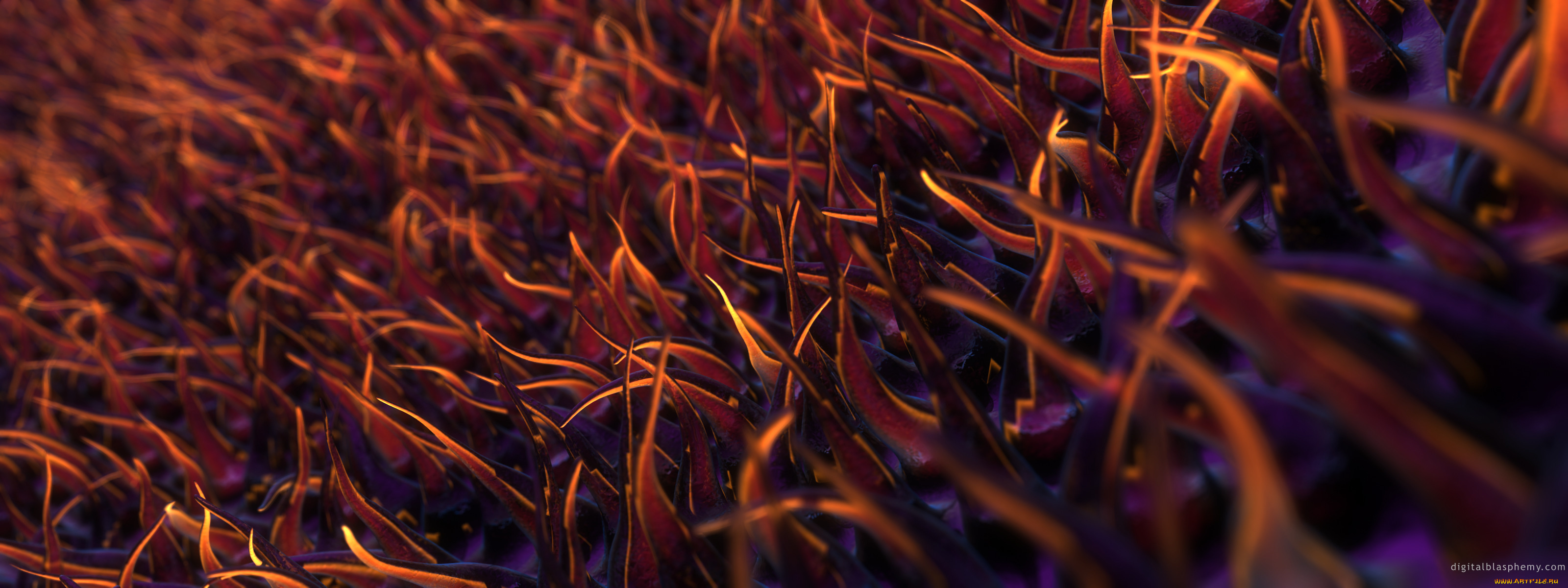 3д, графика, другое