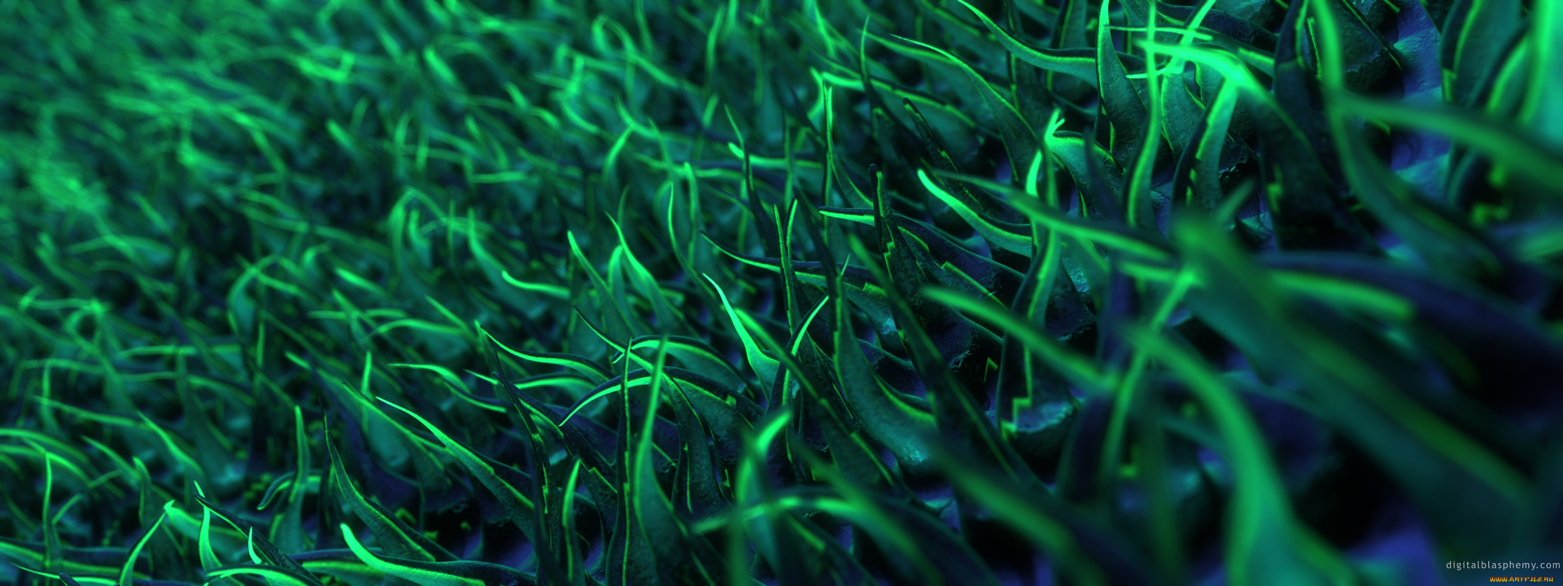 3д, графика, другое