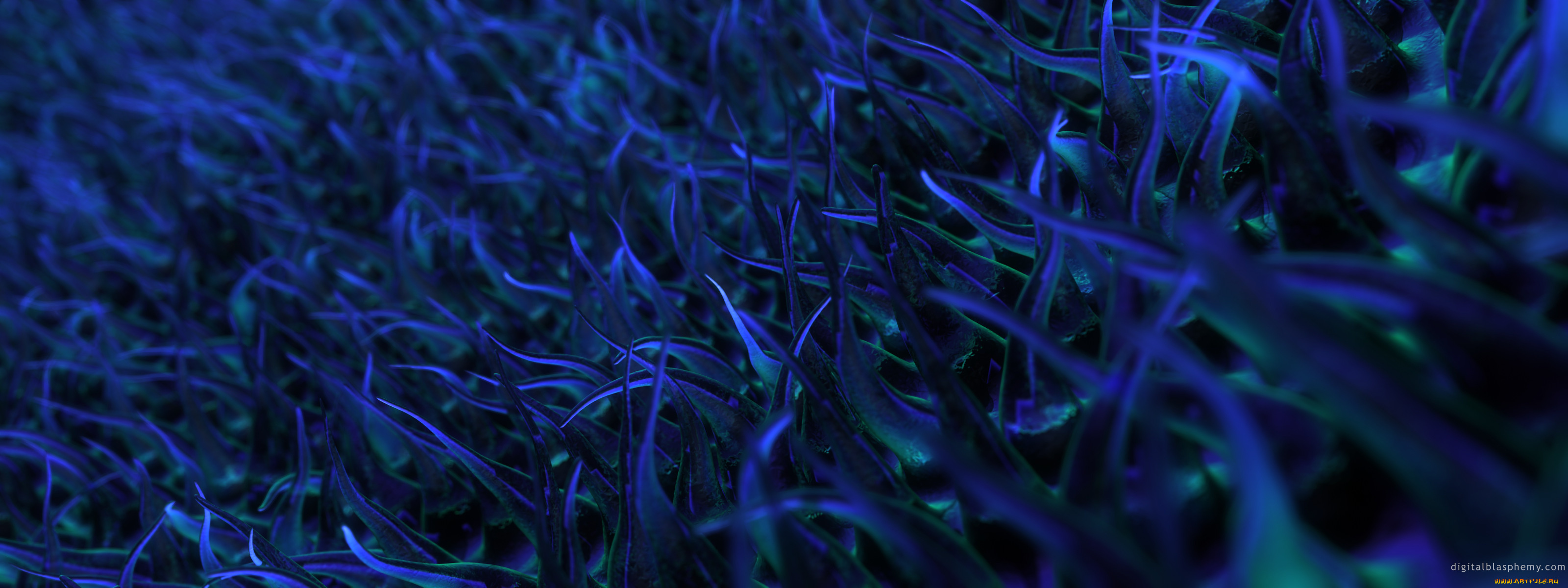 3д, графика, другое