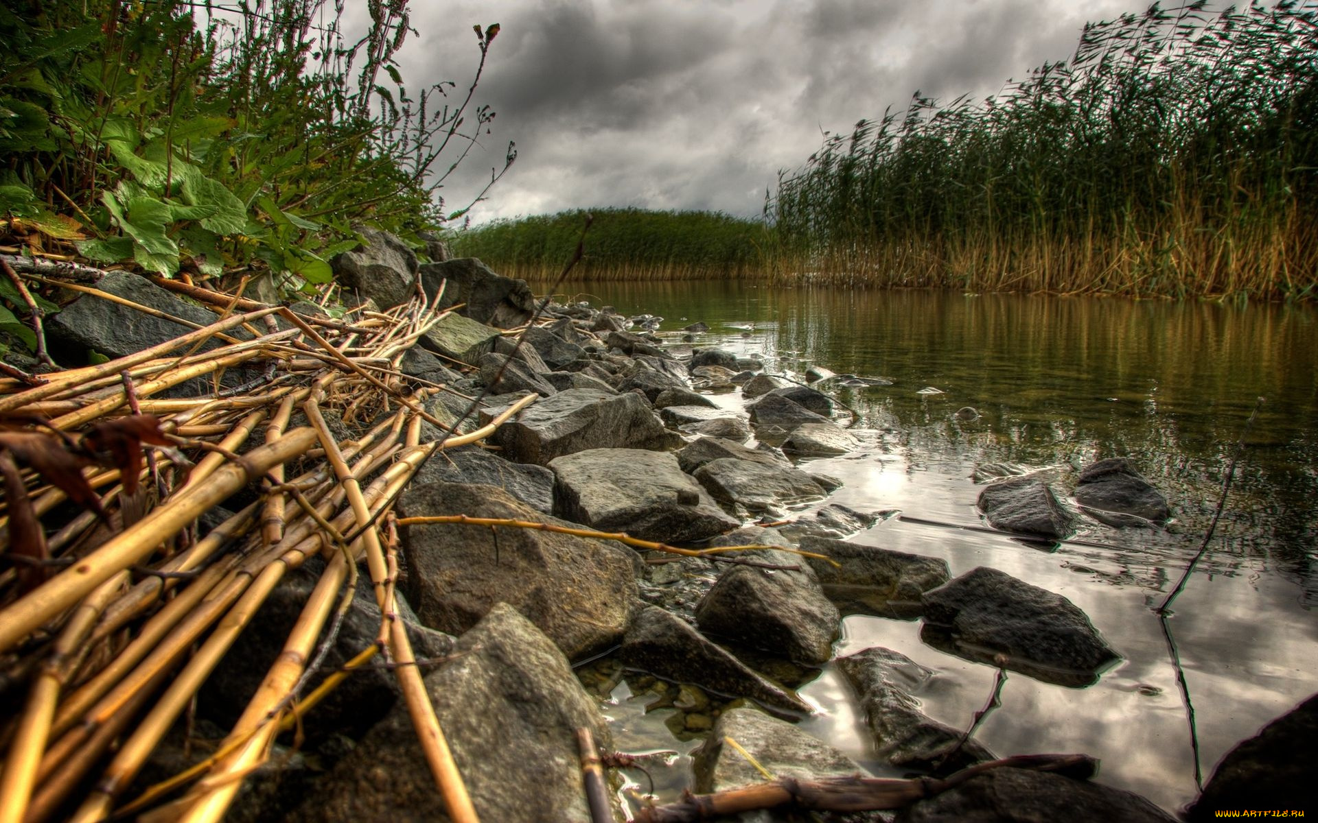 природа, реки, озера