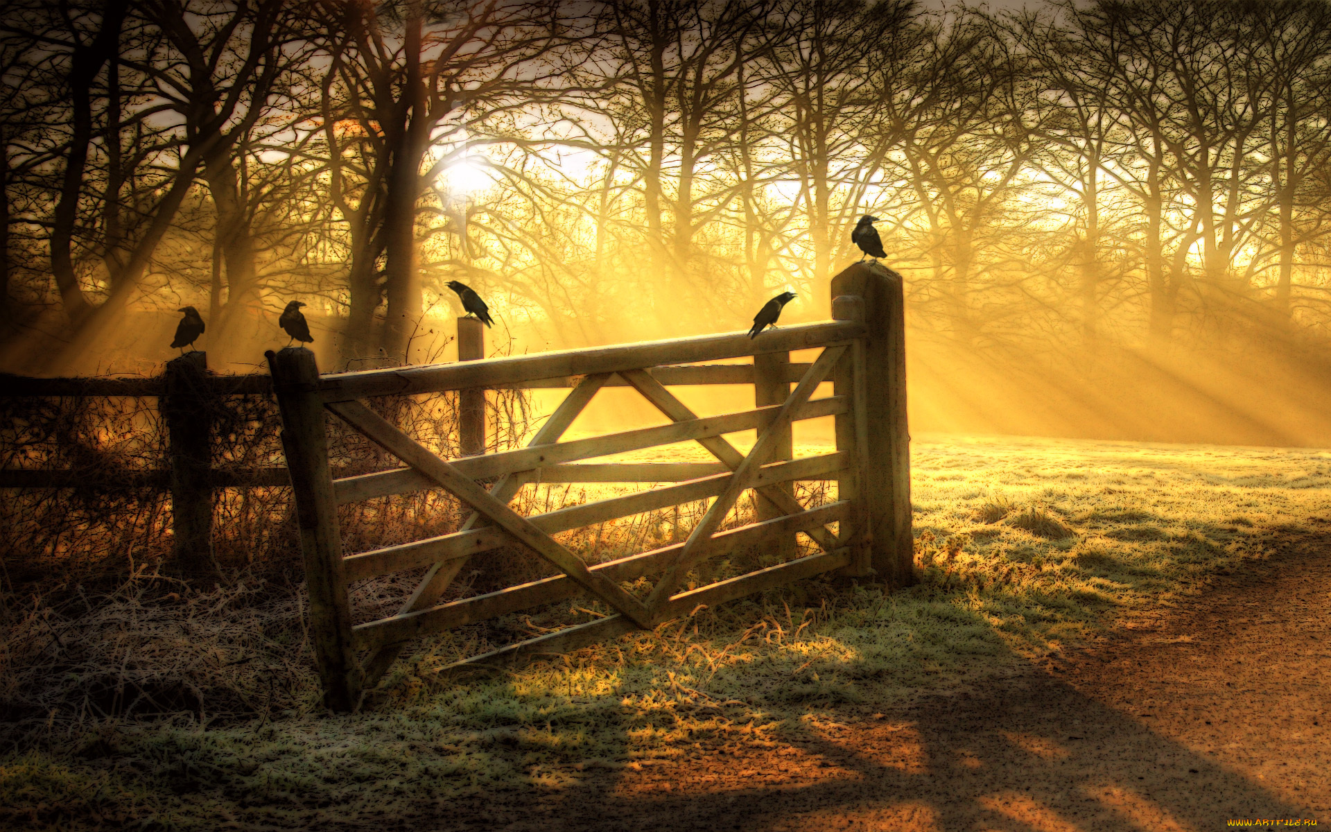 рисованные, природа