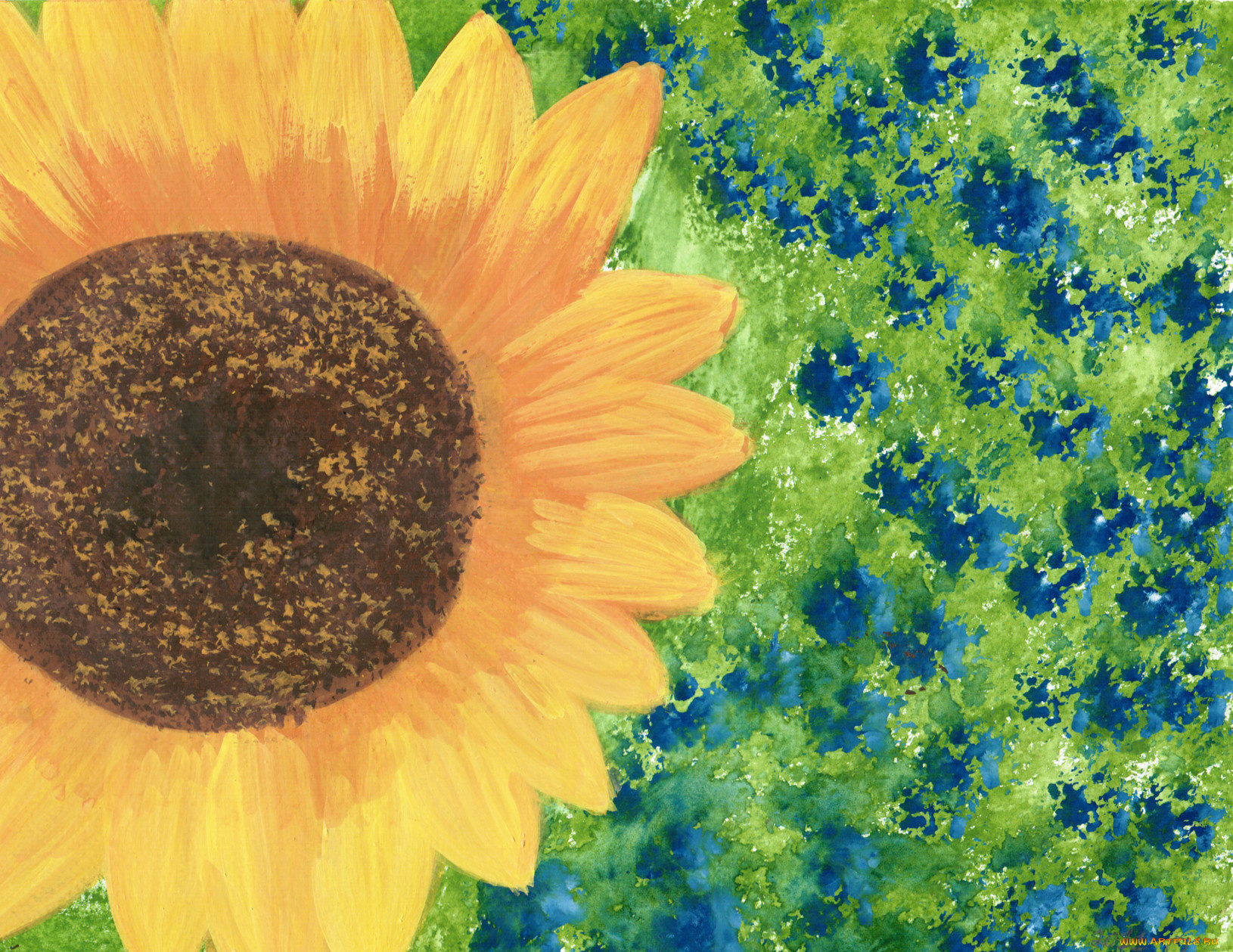 рисованные, цветы, подсолнух