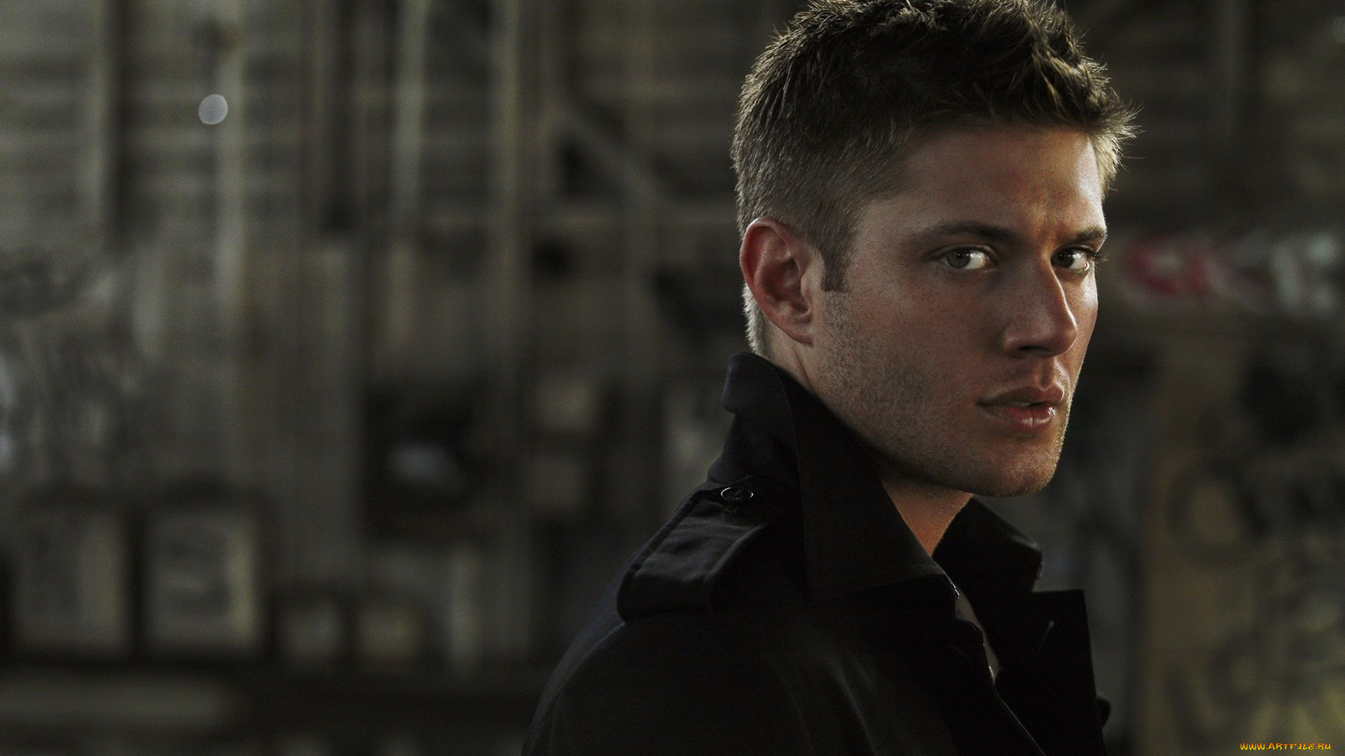 мужчины, jensen, ackles, взгляд