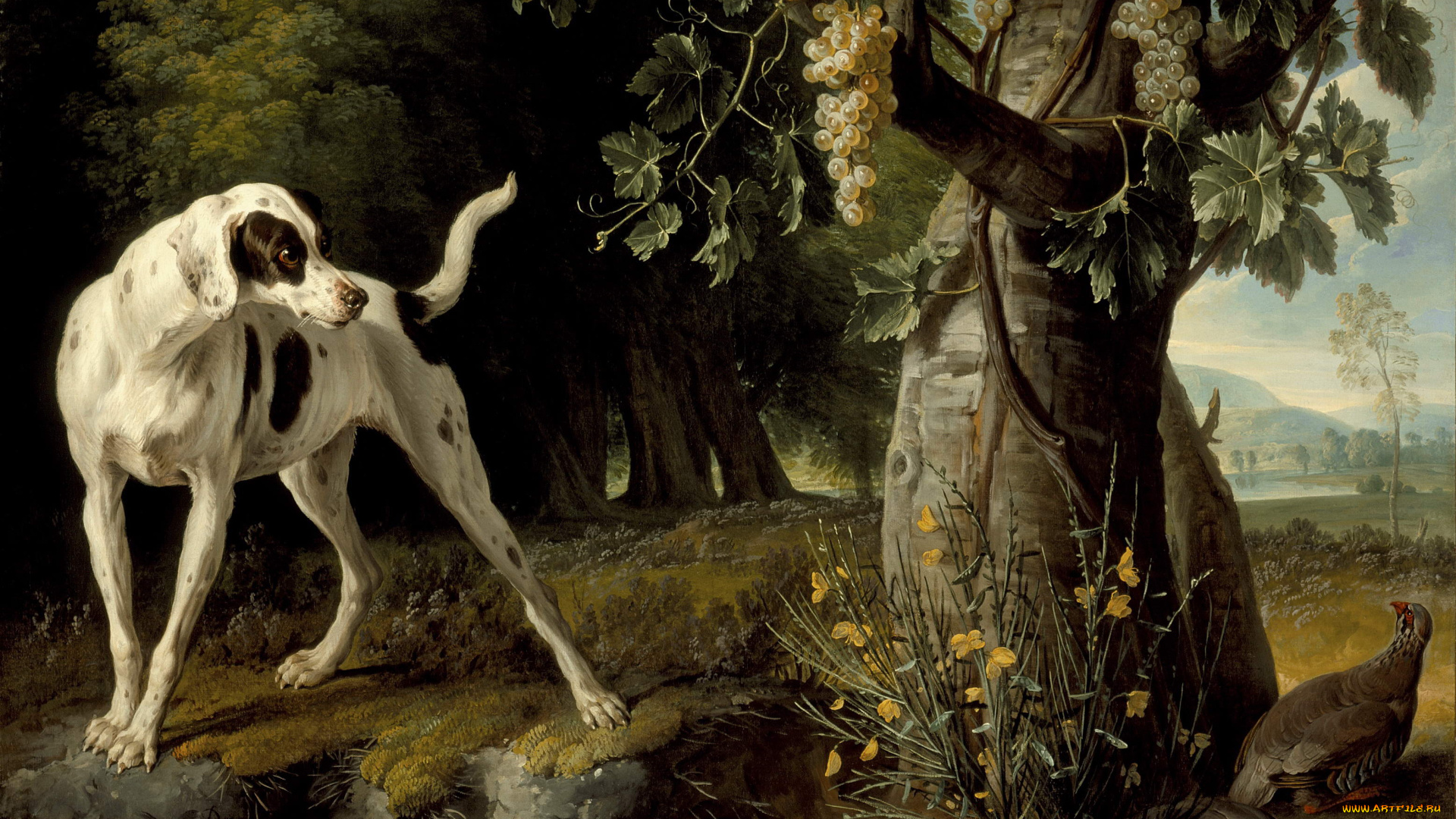 рисованные, alexandre, fran&, 231, ois, desportes, francois, дерево, грозди, собака