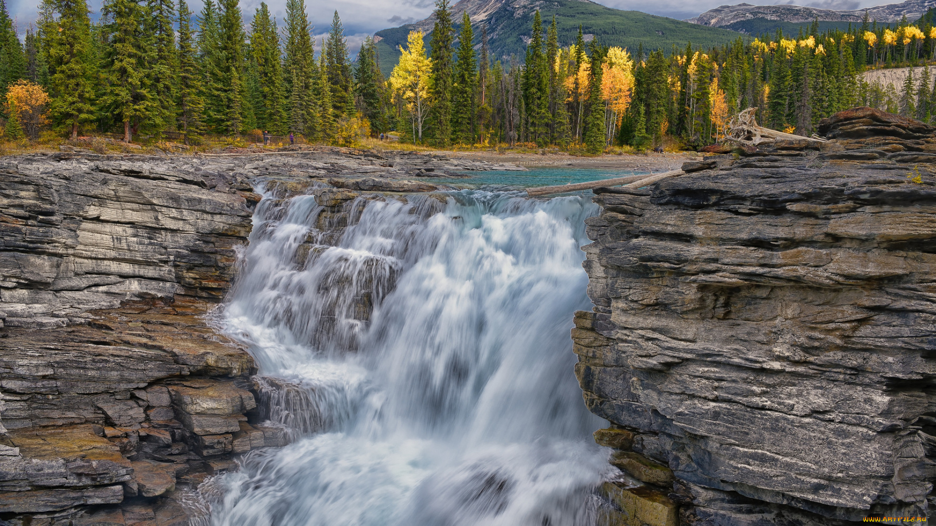 athabasca, falls, jasper, national, park, alberta, canada, природа, водопады, осень, канада, водопад, атабаска, альберта, джаспер