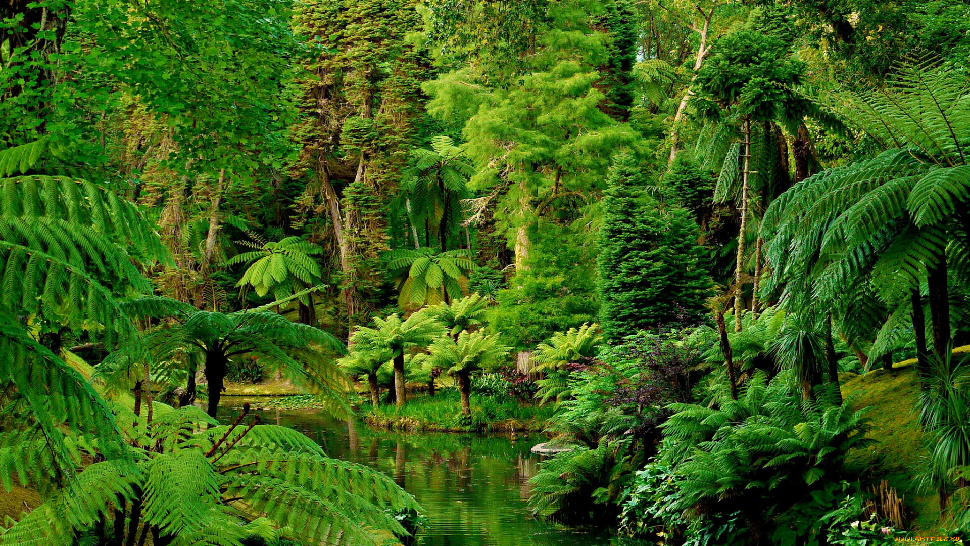 botanical, gardens, furnas, португалия, природа, парк, растения, сад, река