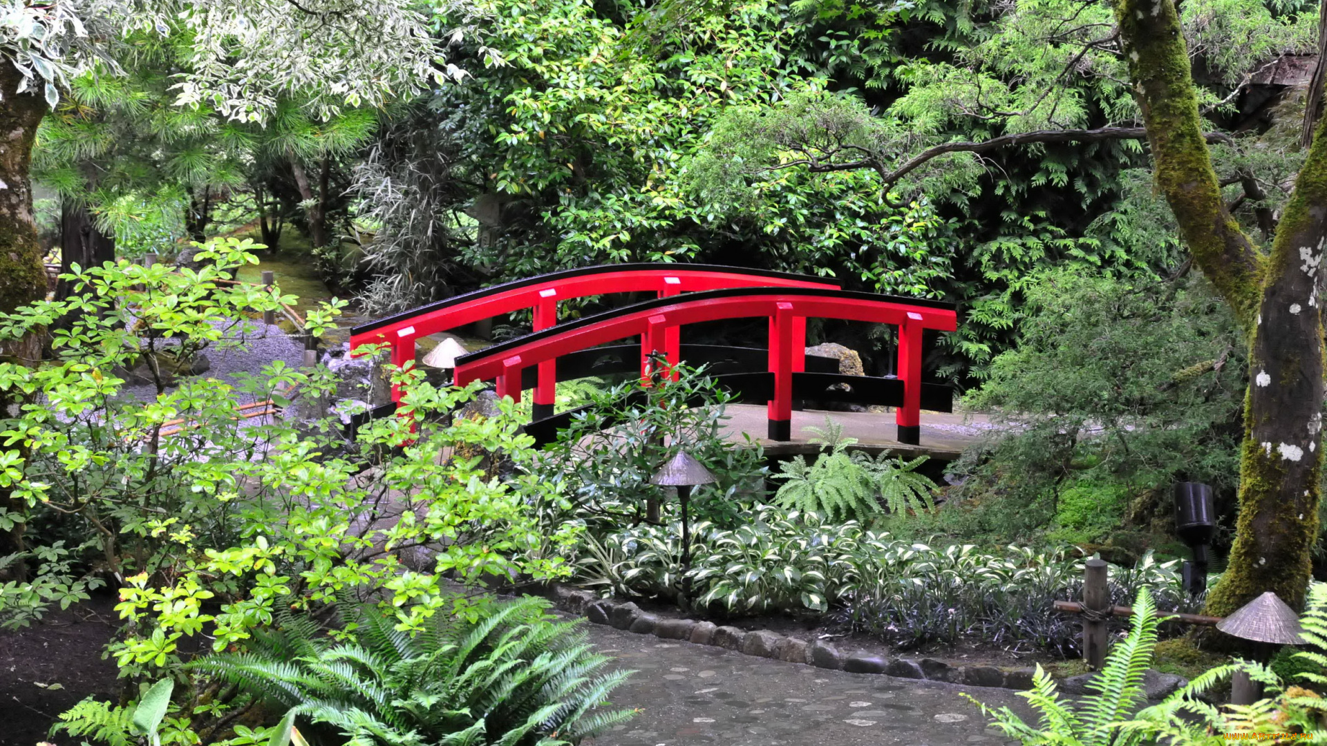 butchart, gardens, canada, природа, парк, водоем, мостик, растения, цветы