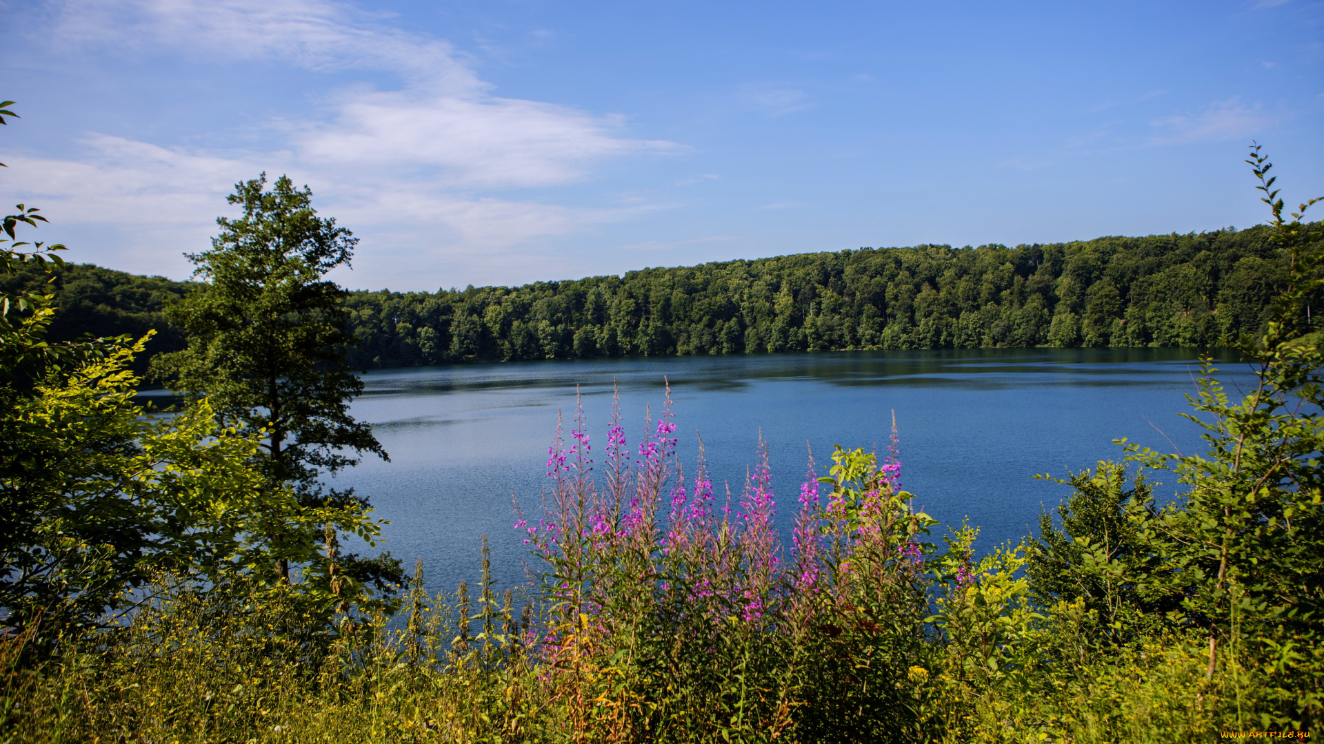 германия, закслер, природа, реки, озера, река, камыши