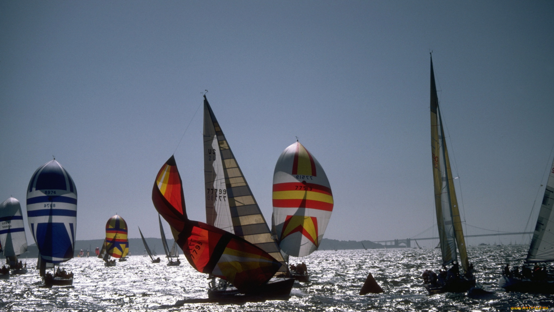 корабли, Яхты, яхты, море