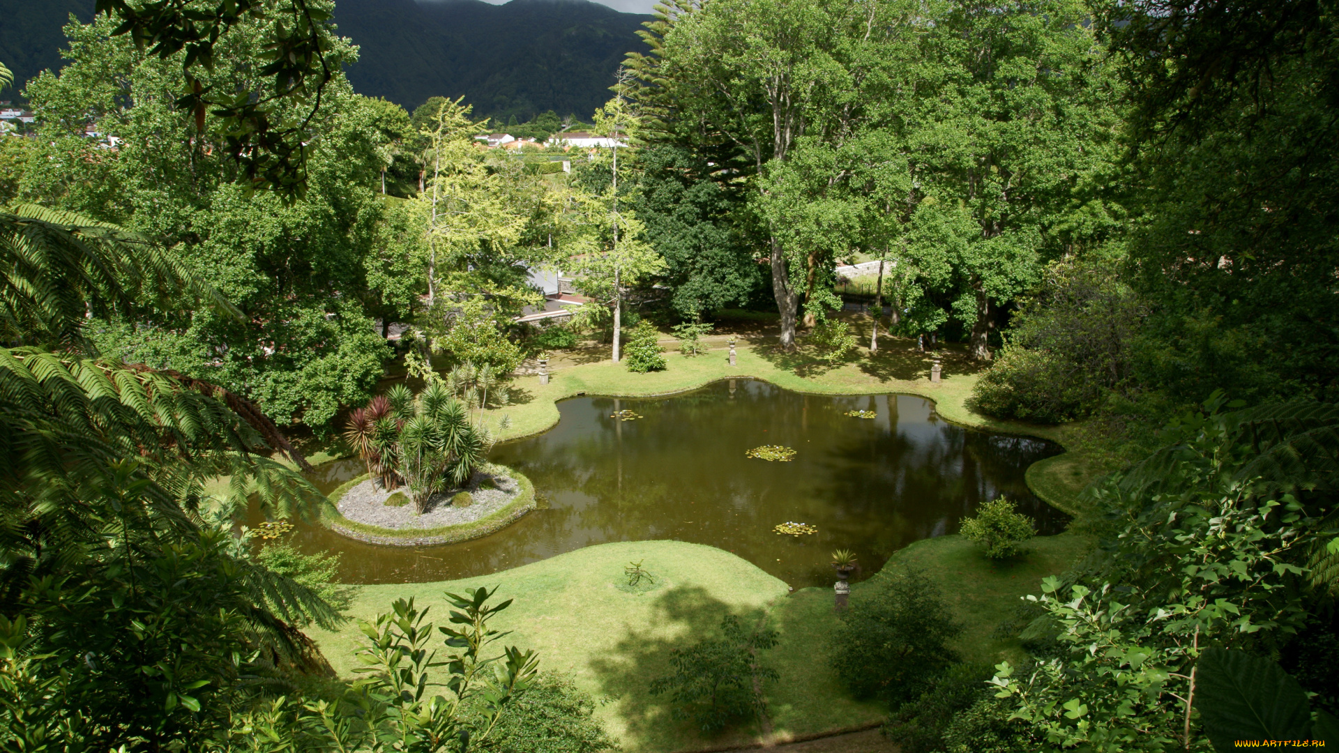 парк, terra, nostra, ilha, de, miguel, португалия, природа, растения