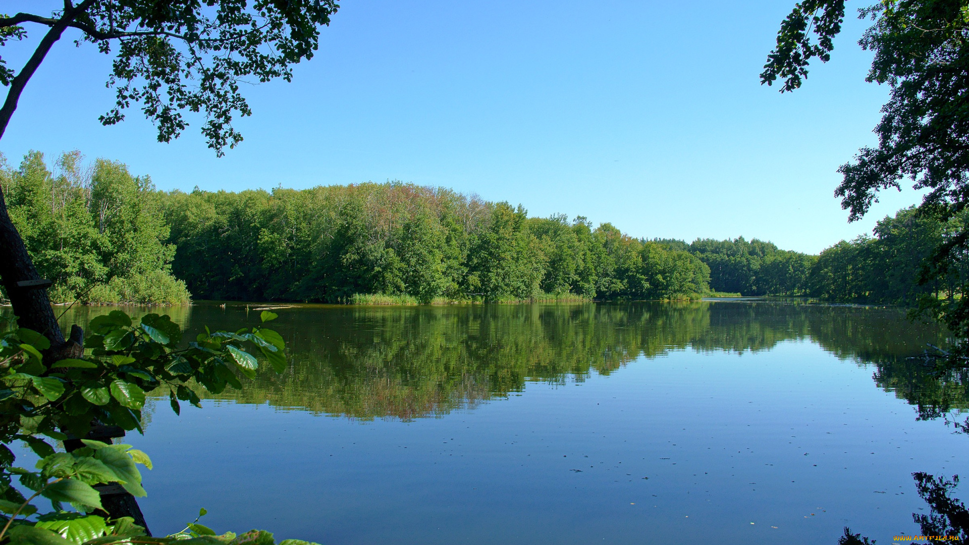 природа, реки, озера, лес, озеро, небо
