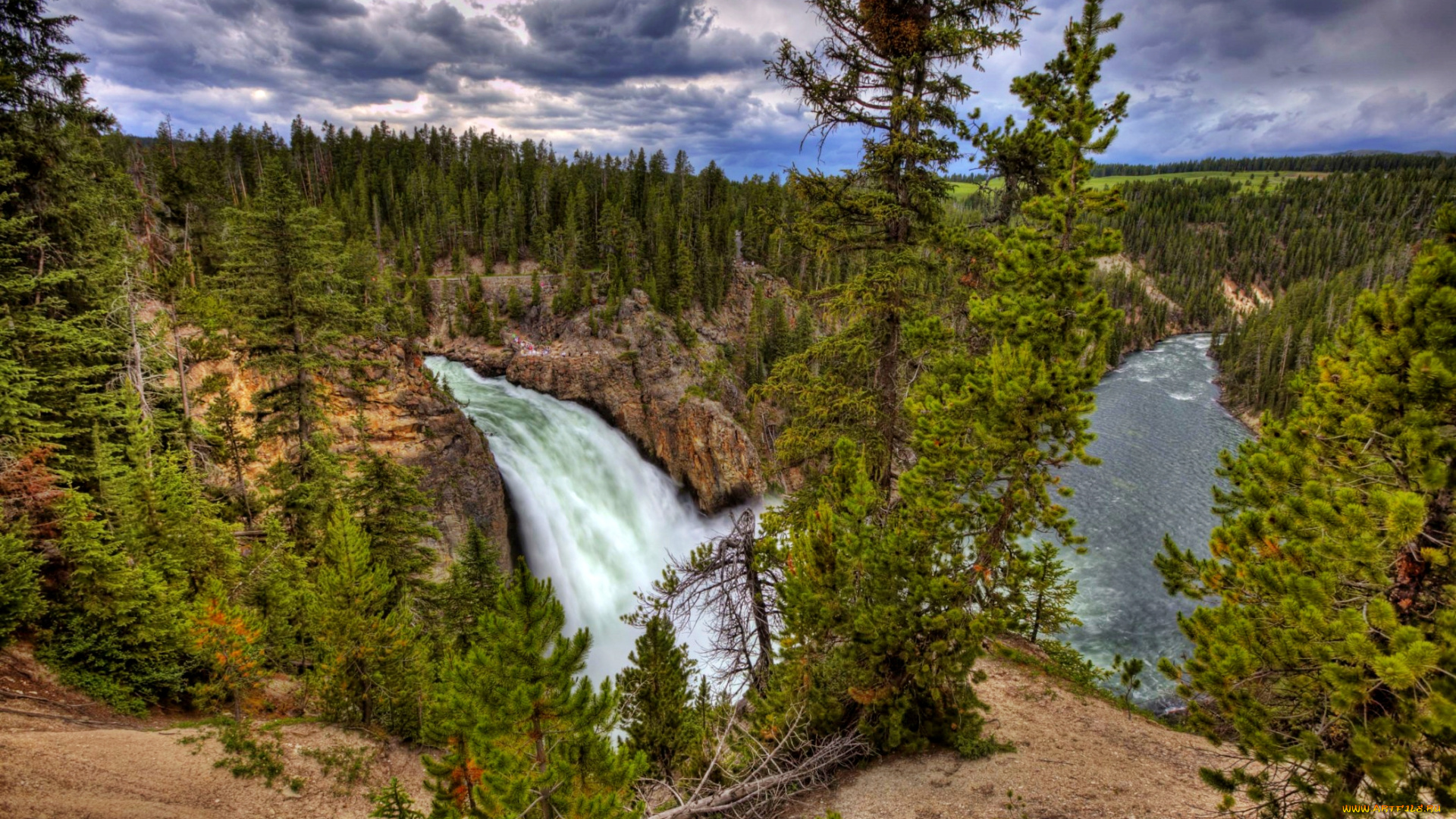 upper, falls, yellowstone, river, природа, водопады, скалы, обрыв, лес, река, сша, водопад, йеллоустоун