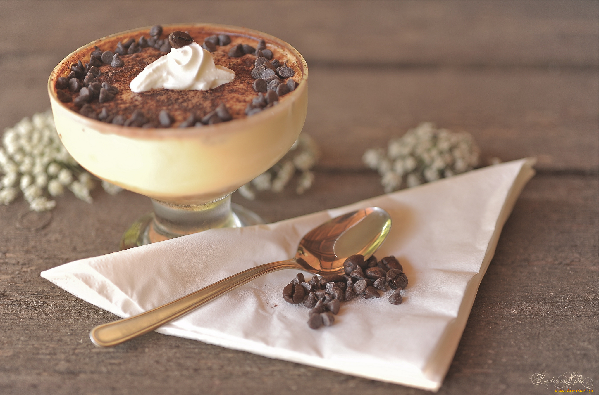 еда, мороженое, десерты, ложка, шоколад, тирамису