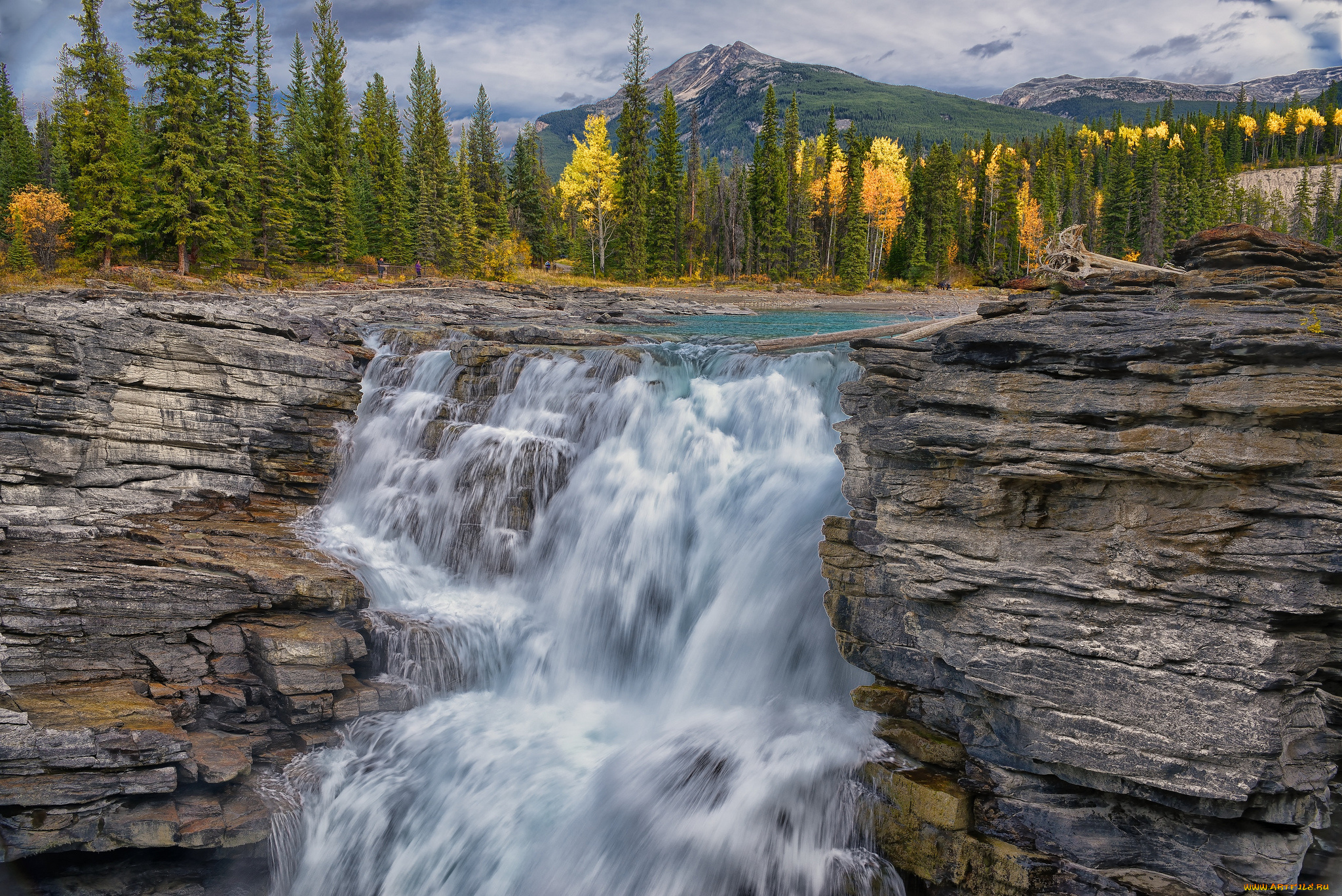 athabasca, falls, jasper, national, park, alberta, canada, природа, водопады, осень, канада, водопад, атабаска, альберта, джаспер