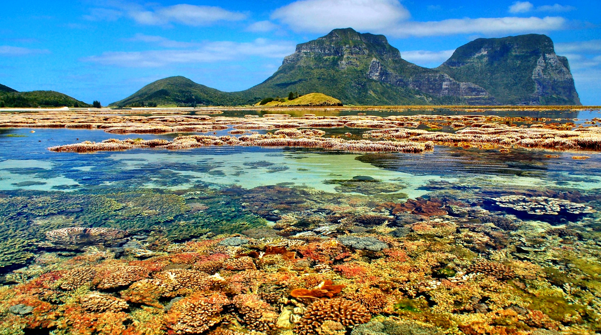 lord, howe, island, coral, lagoon, природа, тропики, лагуна, остров, океан, кораллы