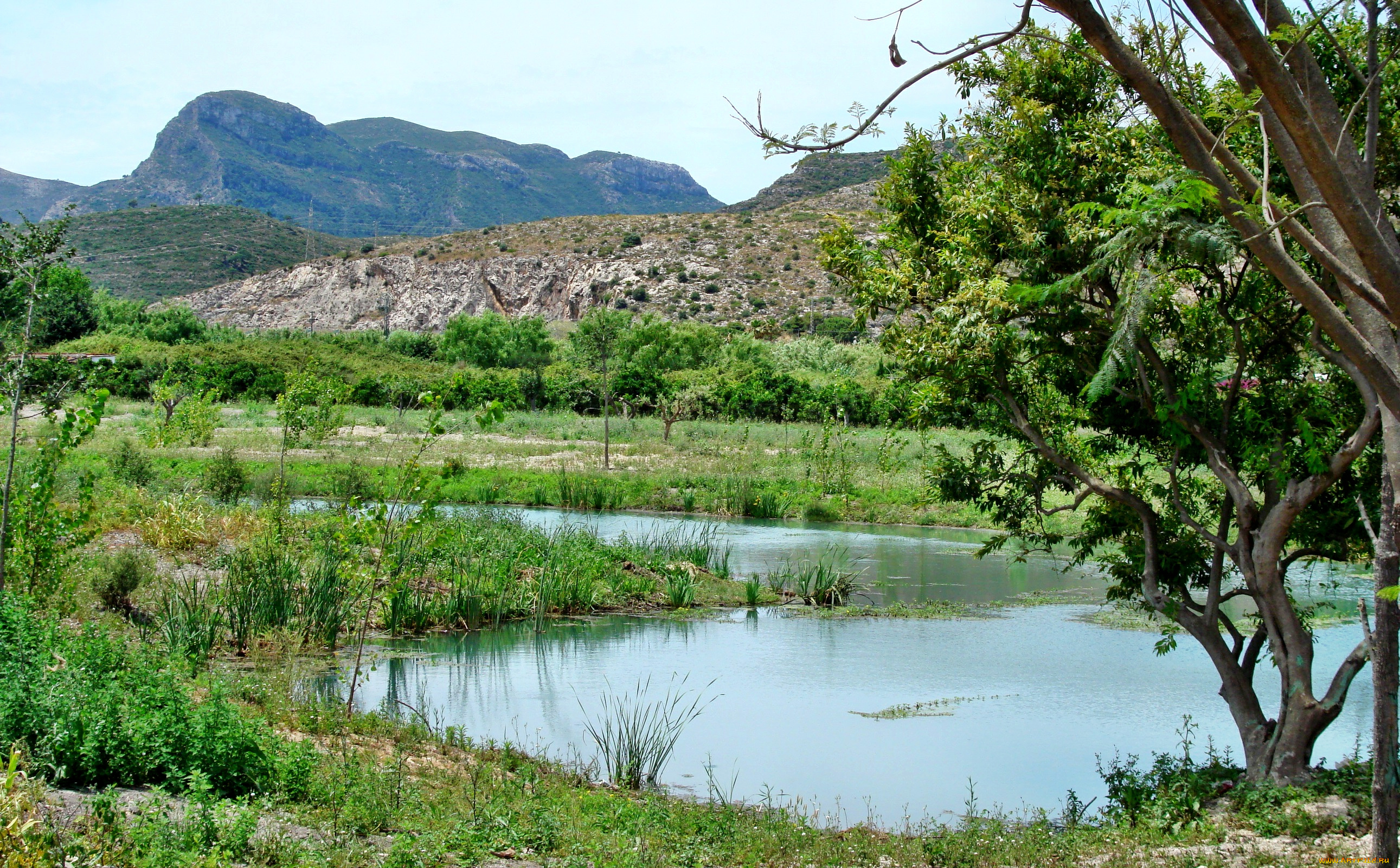 природа, реки, озера, трава, деревья, кустарник, горы, река