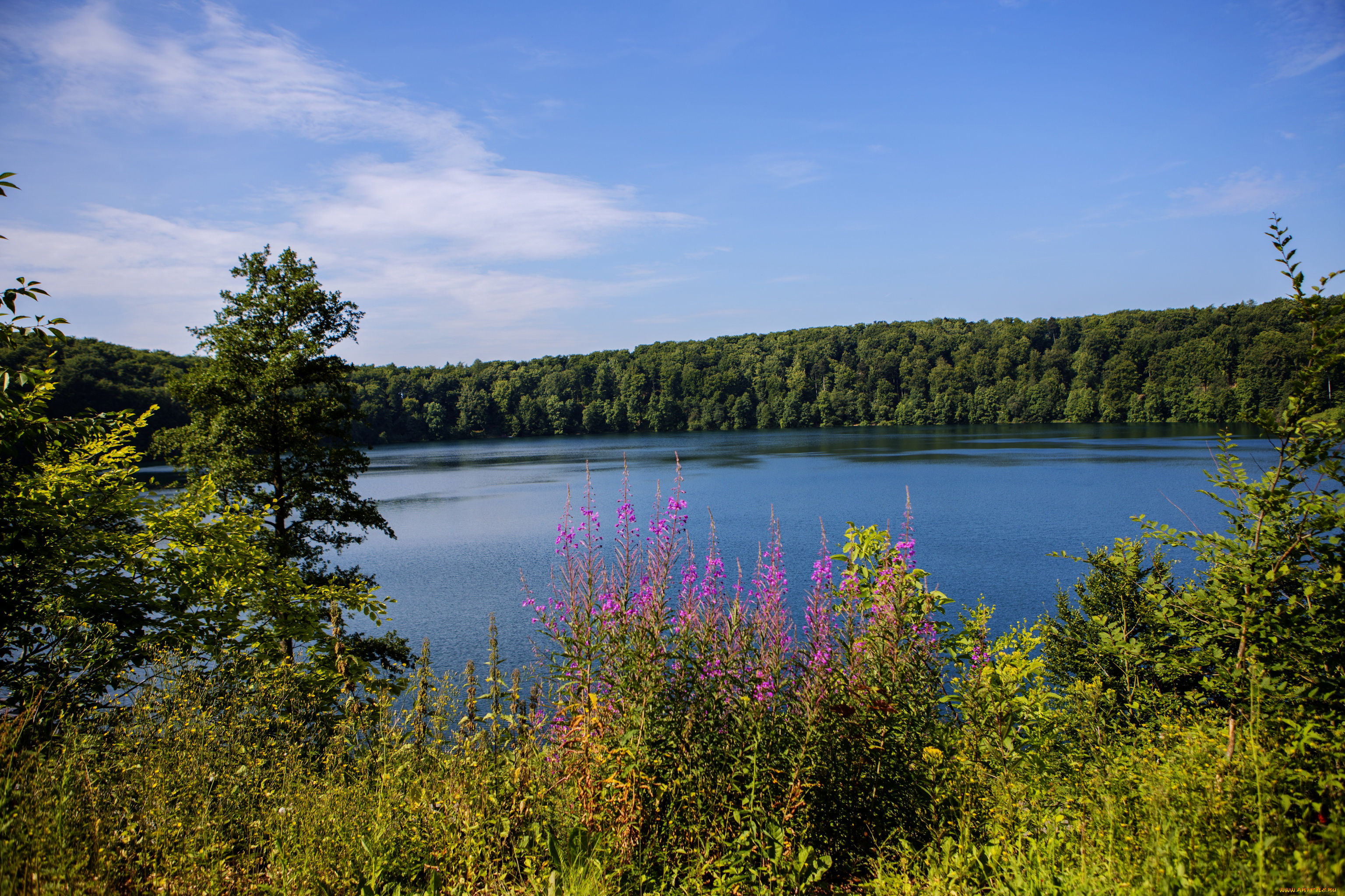 германия, закслер, природа, реки, озера, река, камыши