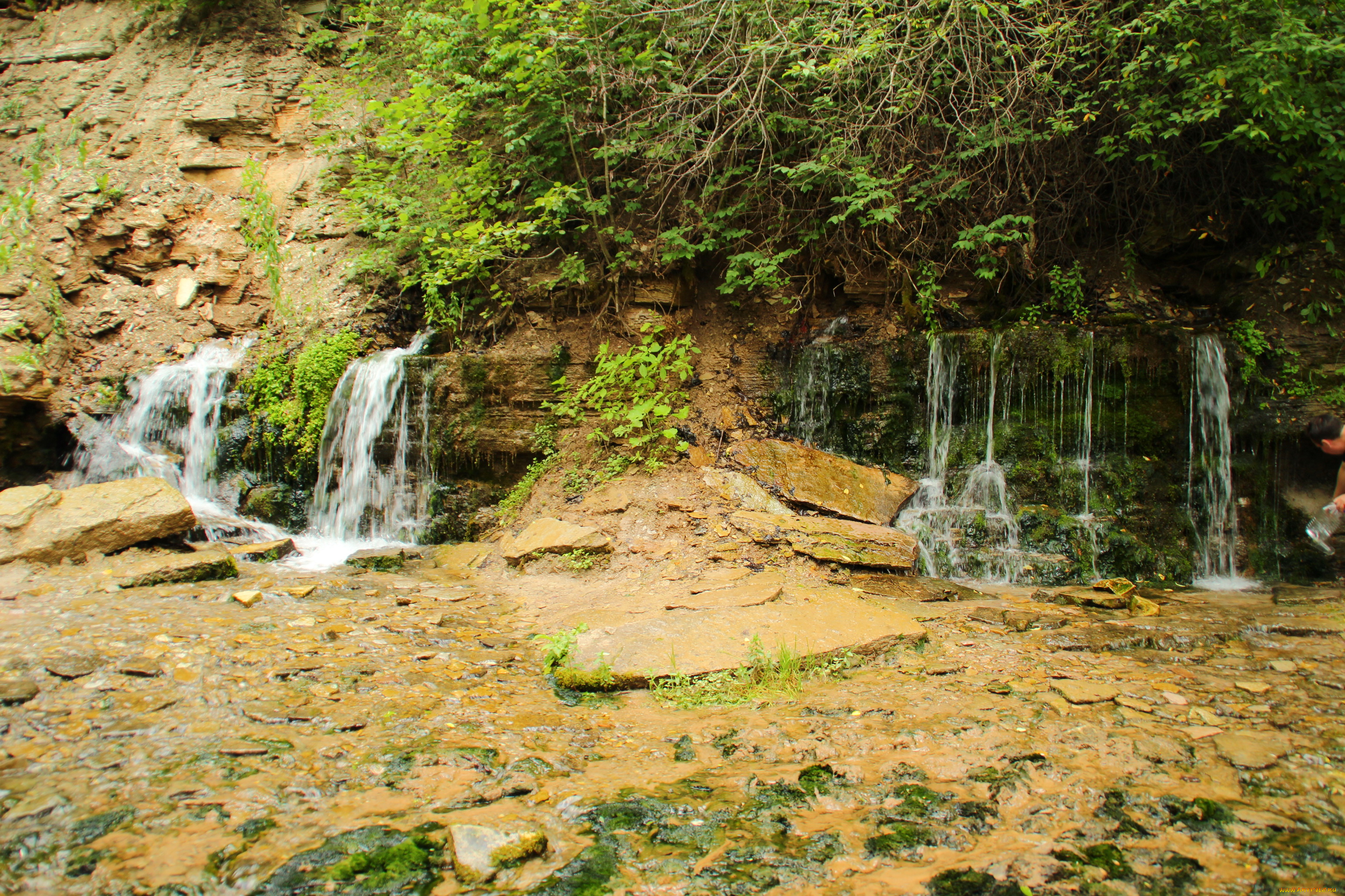 россия, изборск, словенские, ключи, природа, водопады, лес, горы
