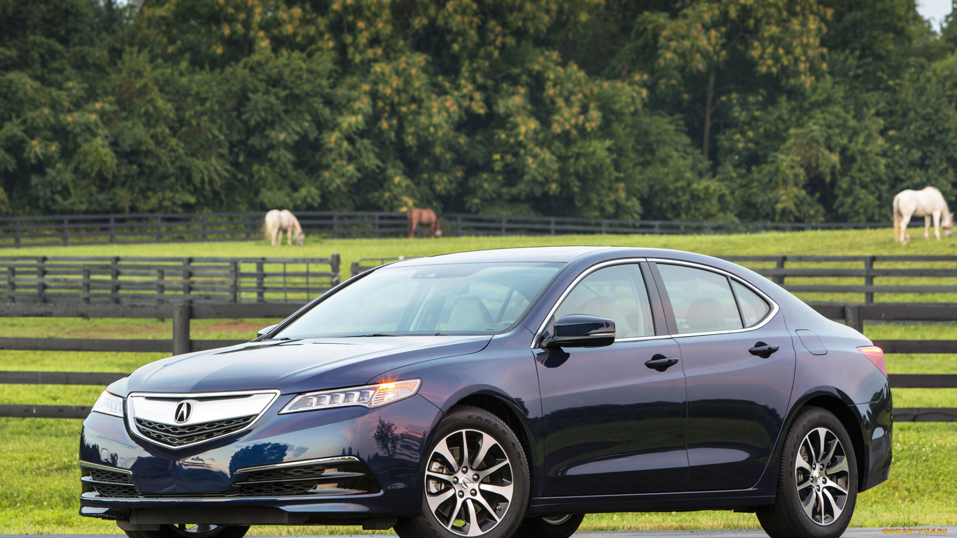 автомобили, acura, 2015г, 2-4l, tlx