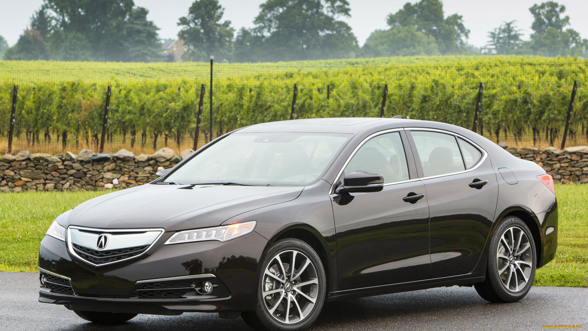 автомобили, acura, 2015г, tlx, 3-5l, v6, темный