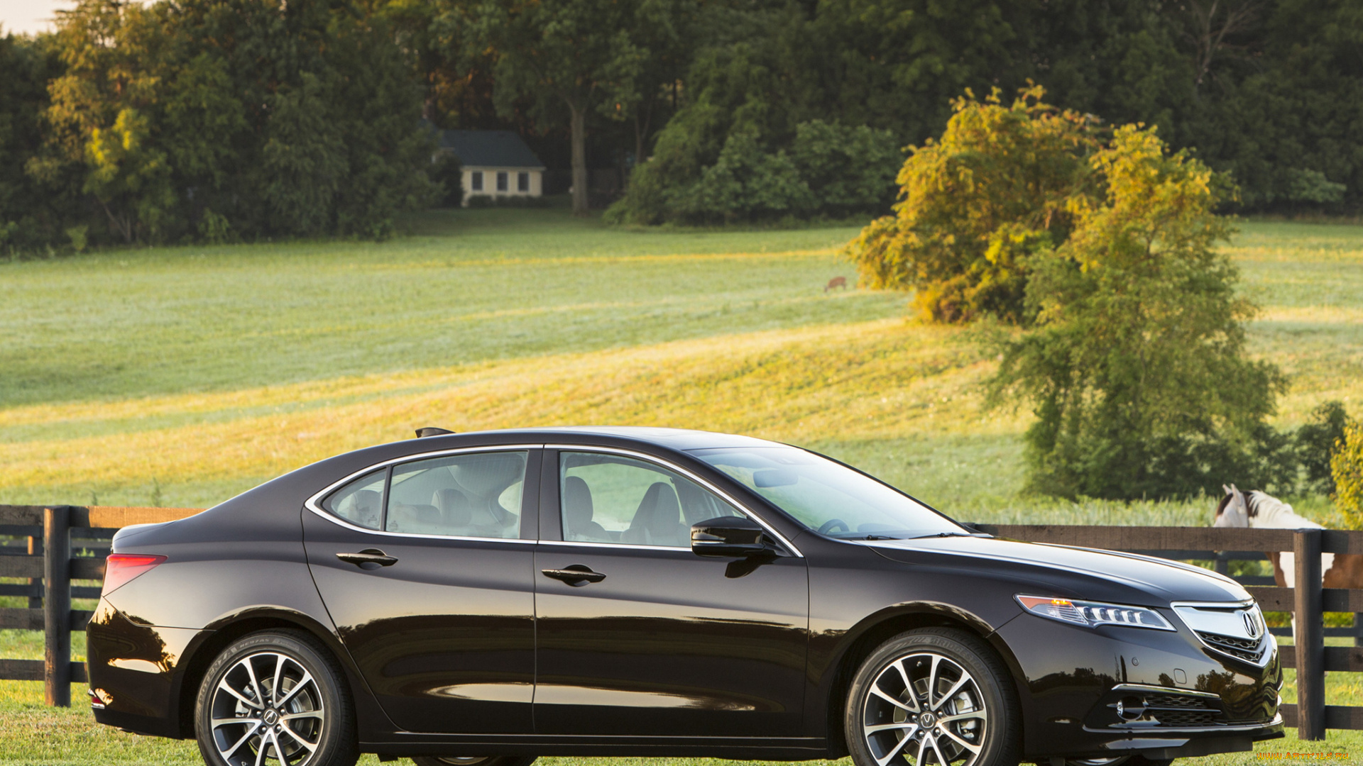 автомобили, acura, 2015г, tlx, 3-5l, v6, темный