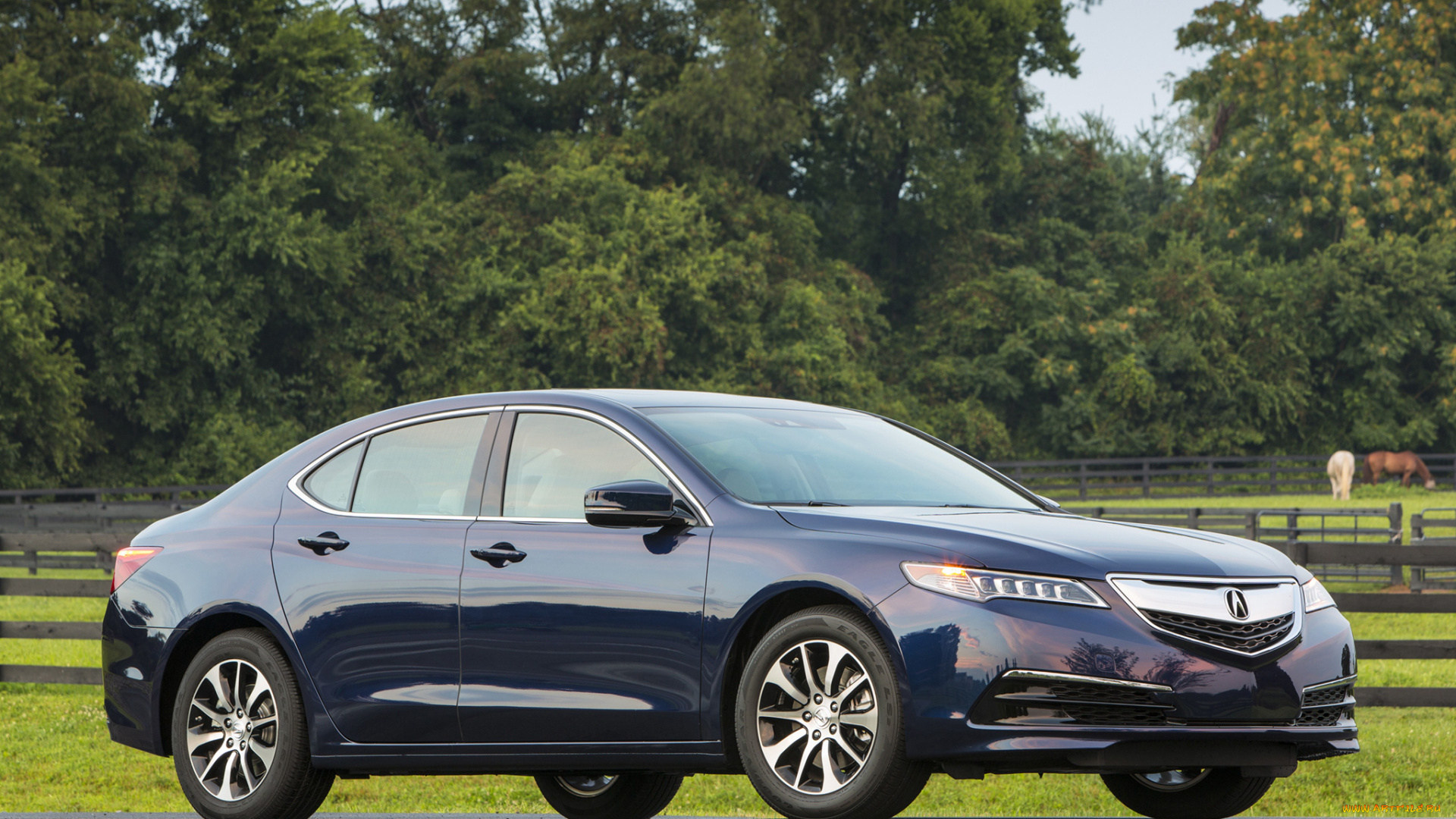 автомобили, acura, tlx, 2015г, 2-4l