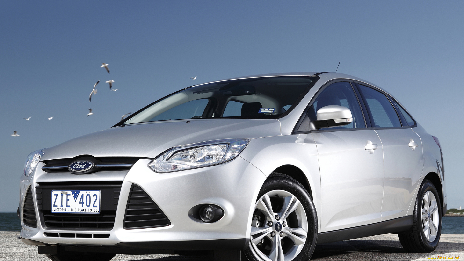 автомобили, ford, focus, sedan, светлый, au-spec