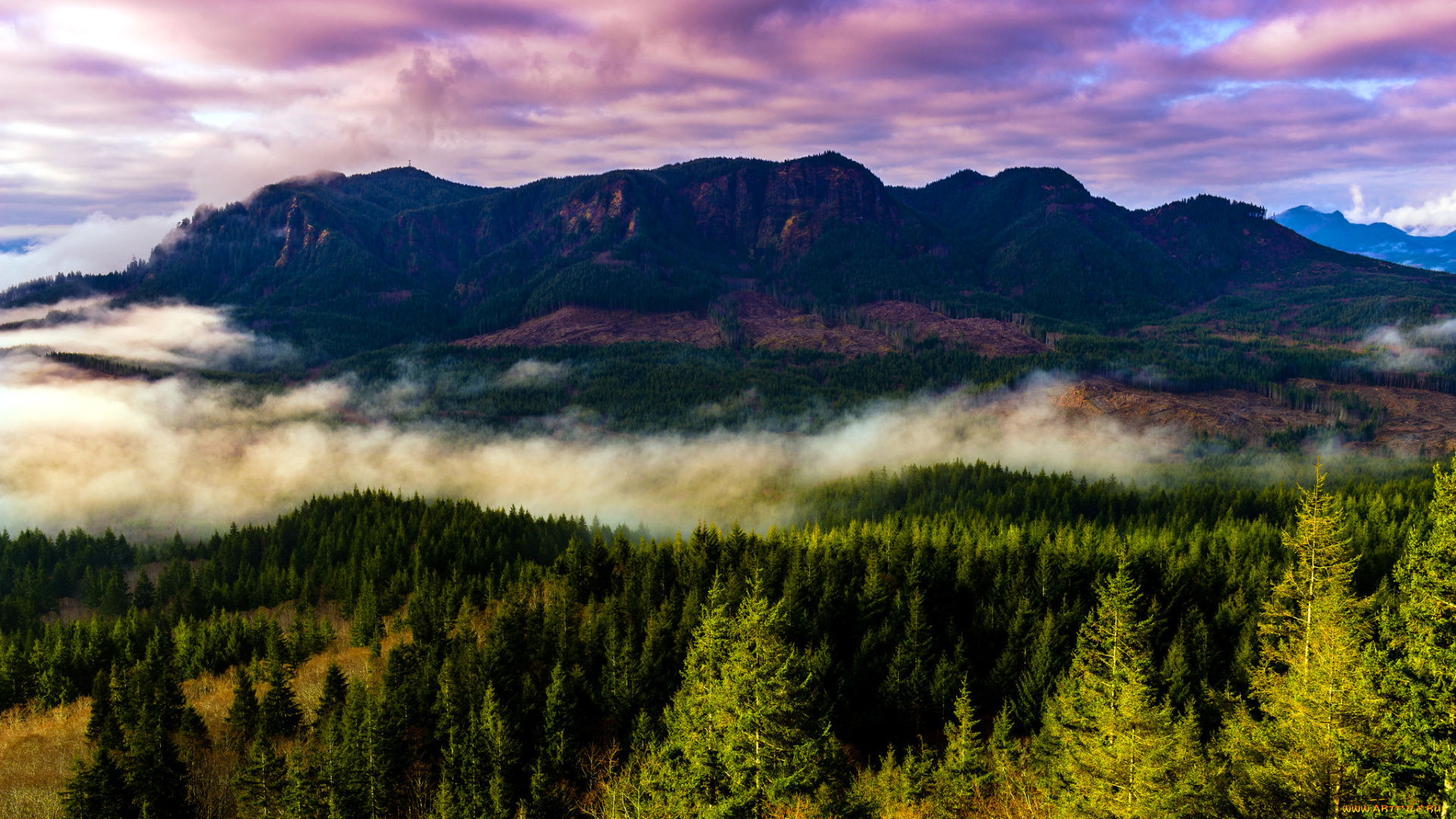 природа, горы, пейзаж, деревья, лес, туман, штат, орегон, сша
