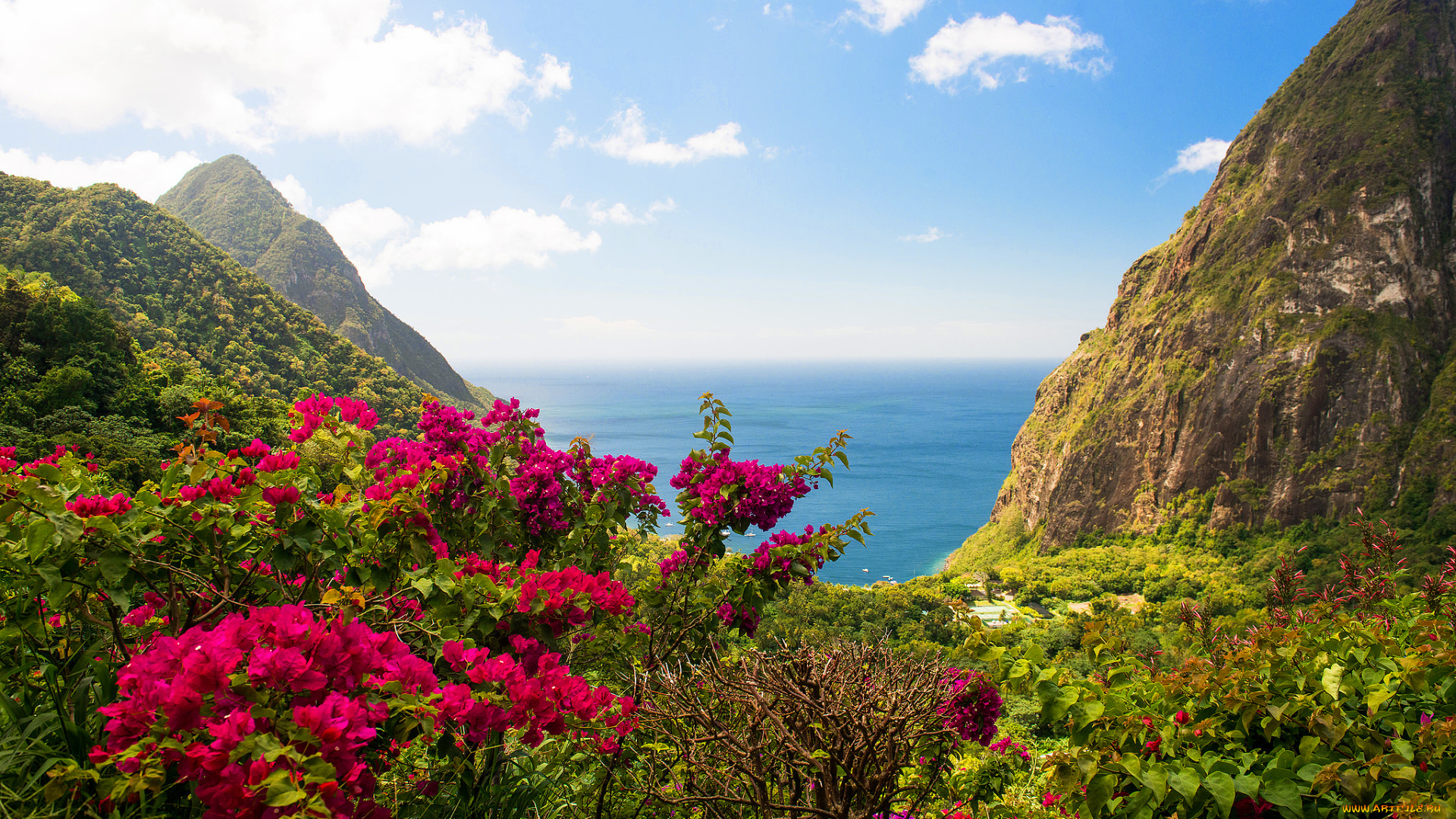 природа, побережье, вест, индия, остров, скалы, море, цветы, кусты, зелень, пейзаж, вид
