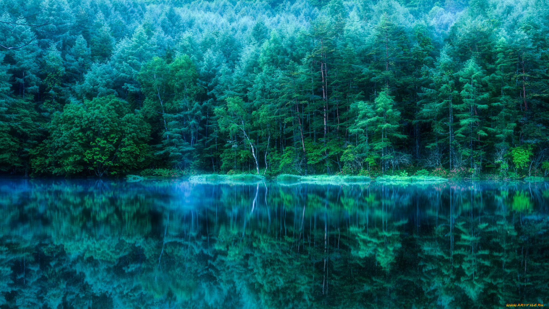 природа, реки, озера, отражение, деревья, лес, водоем, пруд, Япония