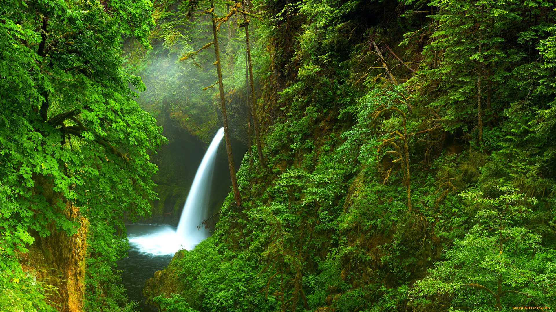 природа, водопады, сша, деревья, река, водопад, орегон, лес, ущелье