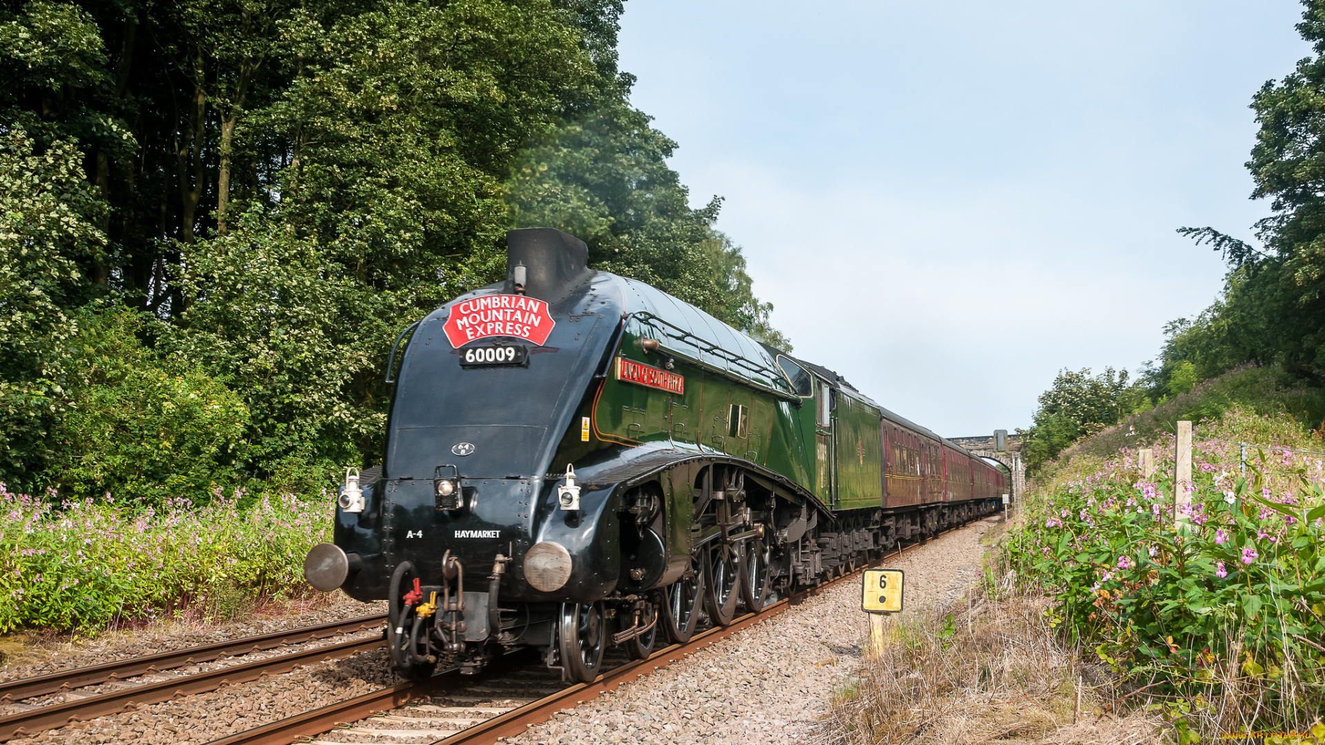 техника, паровозы, вагоны, дорога, рельсы, паровоз, железная