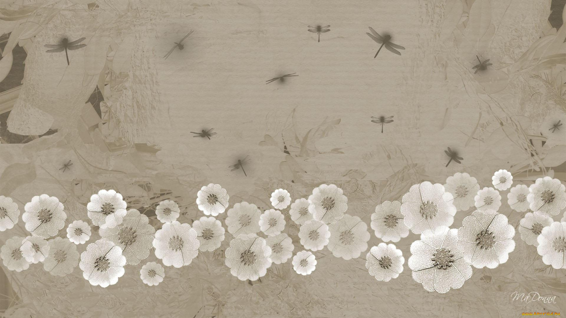 векторная, графика, цветы, узор