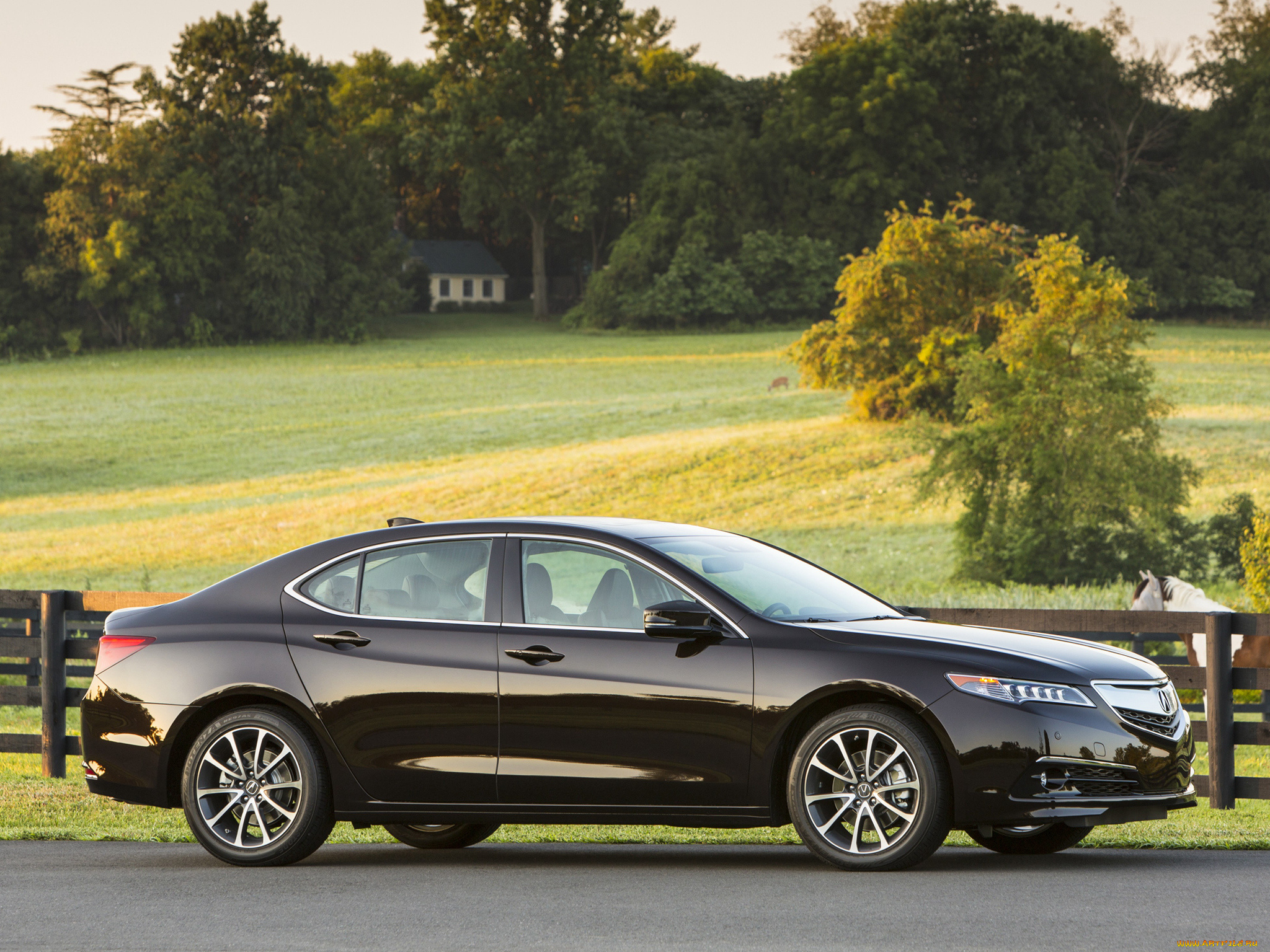 автомобили, acura, 2015г, tlx, 3-5l, v6, темный