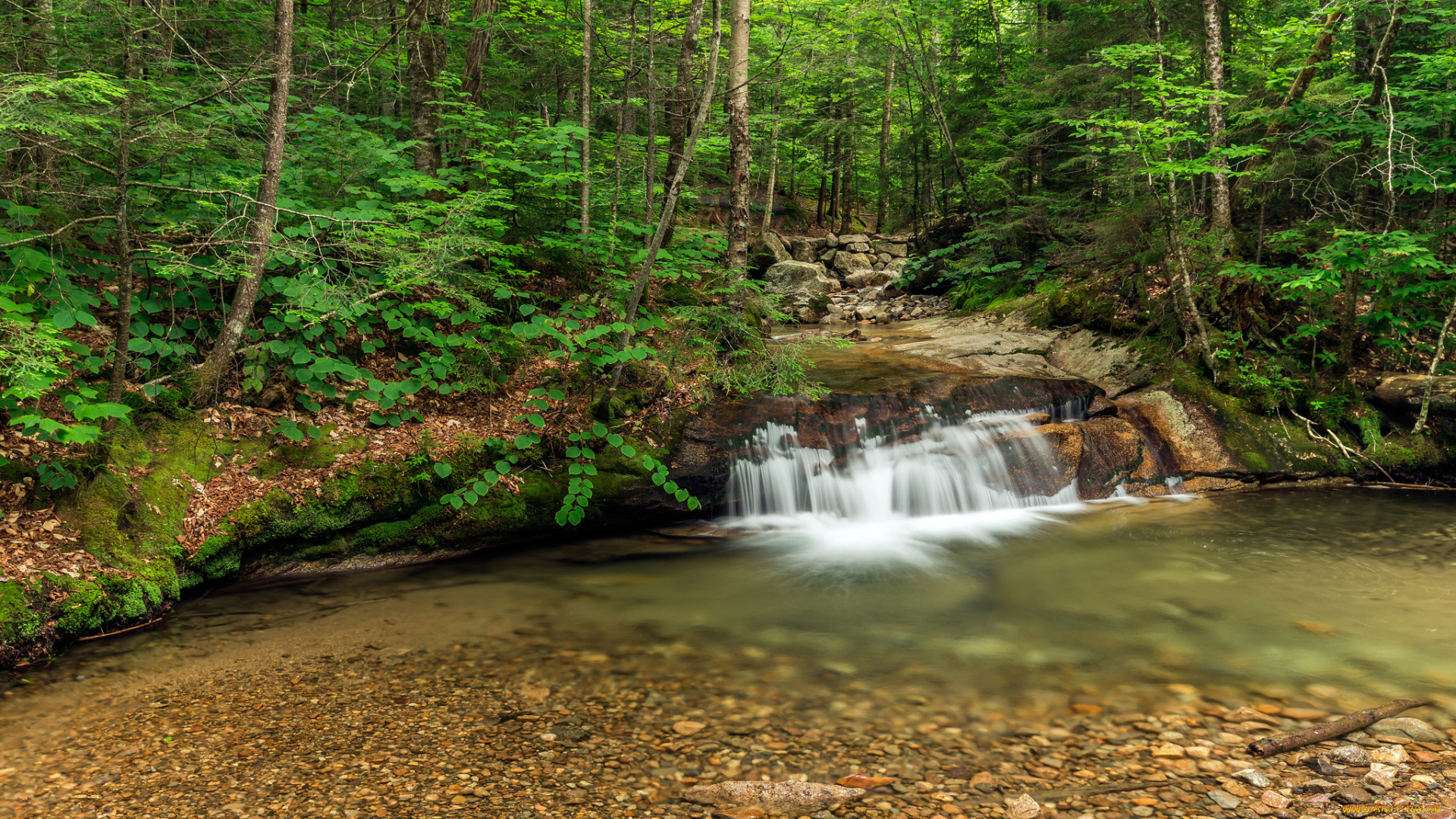 природа, водопады, водопад, река, лес