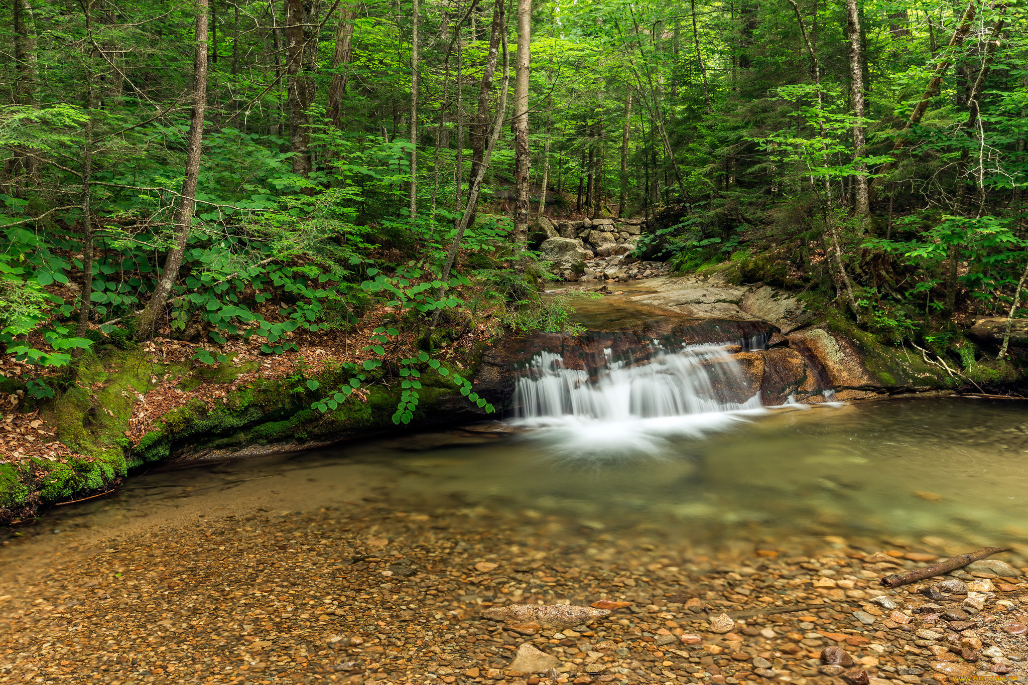 природа, водопады, водопад, река, лес