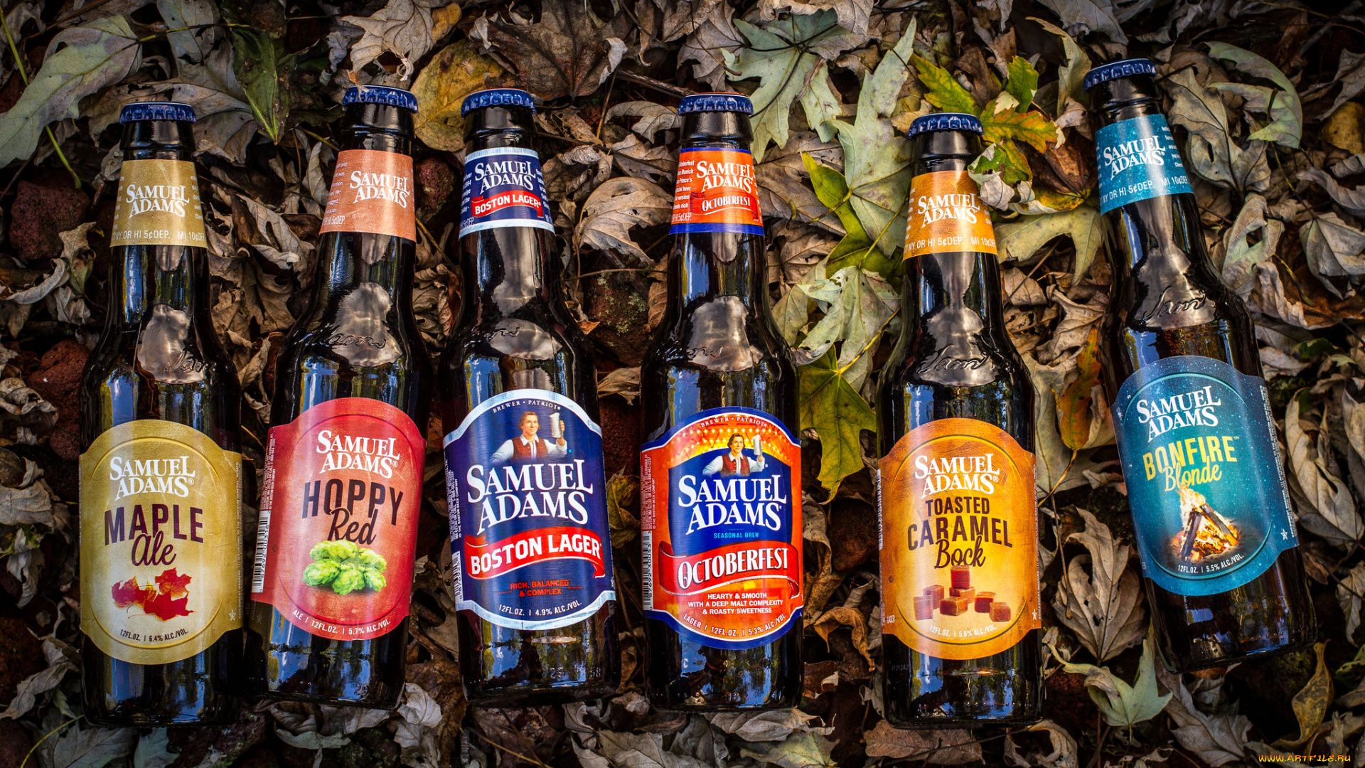 бренды, бренды, напитков, , разное, пиво