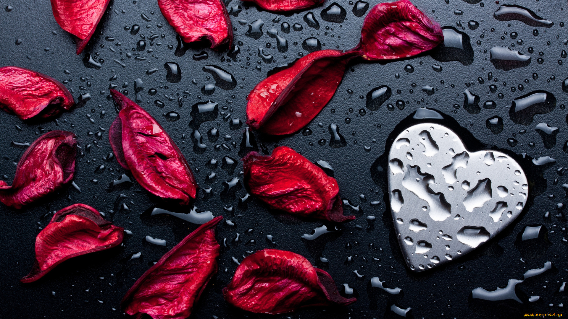 праздничные, день, святого, валентина, , сердечки, , любовь, сердечко, капли, лепестки