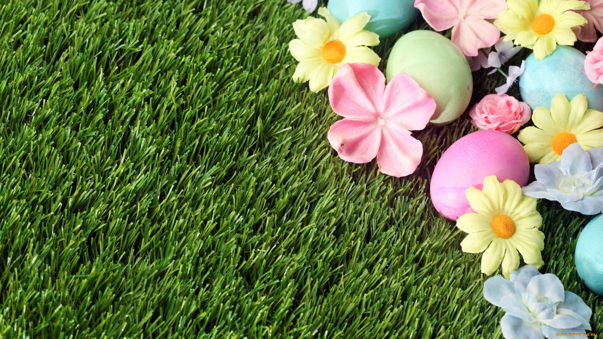 праздничные, пасха, трава, цветы, яйцо