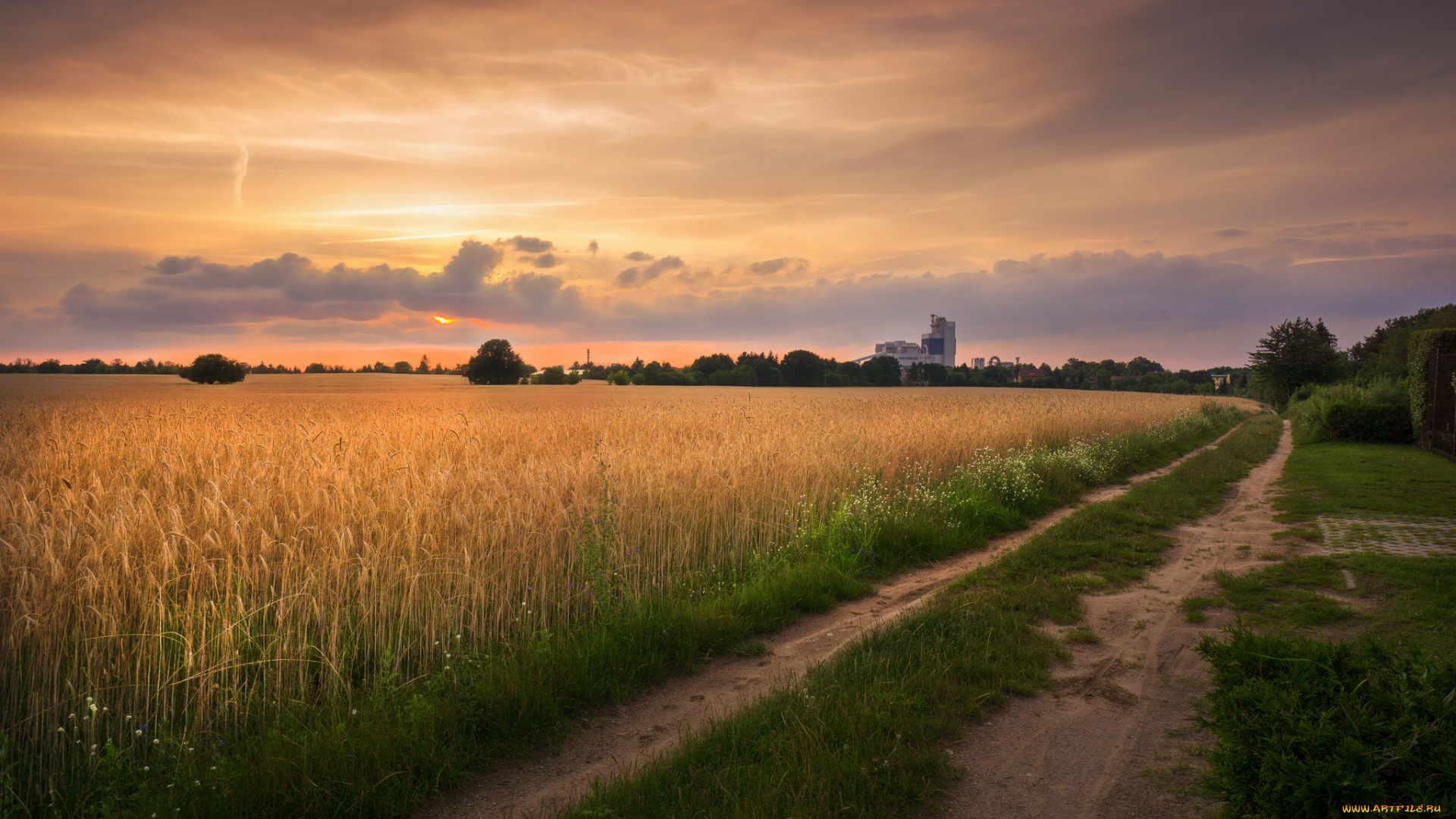 природа, дороги, простор